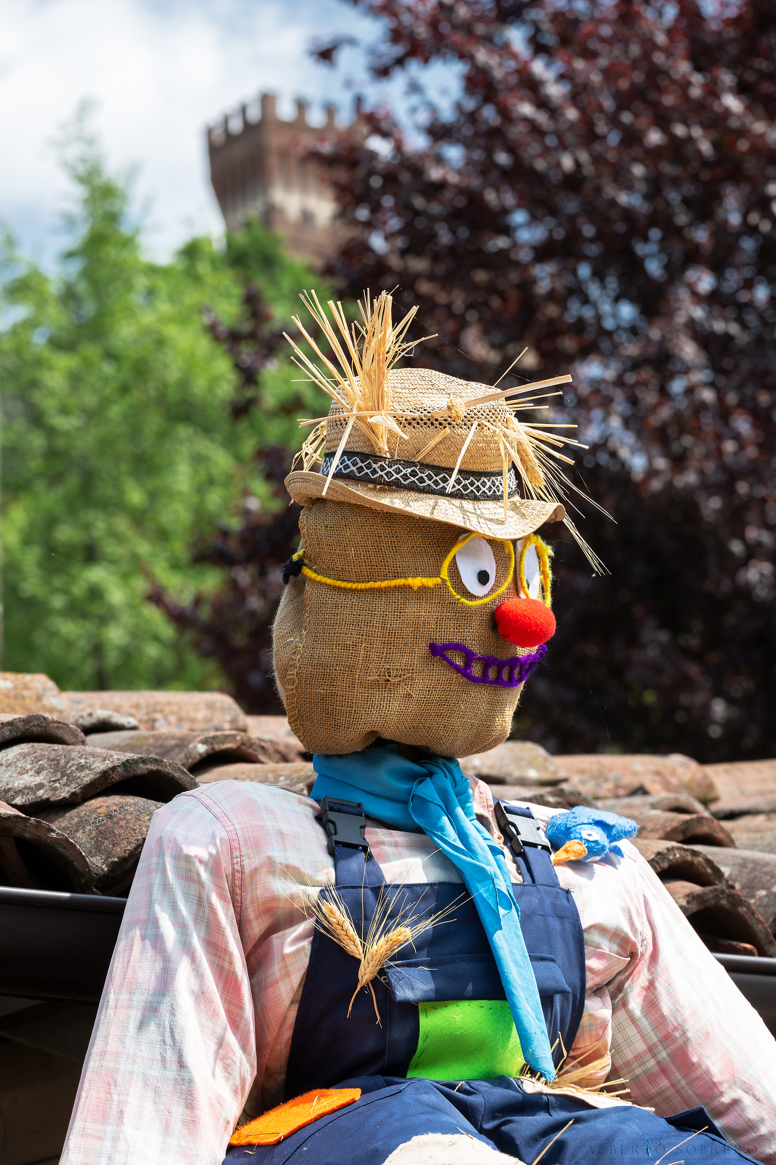 Signor Spaventapasseri :)