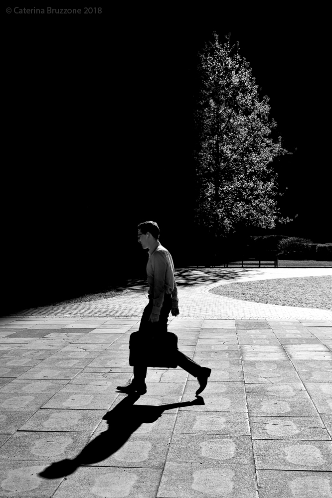 Flora and fauna of the City-London 2018