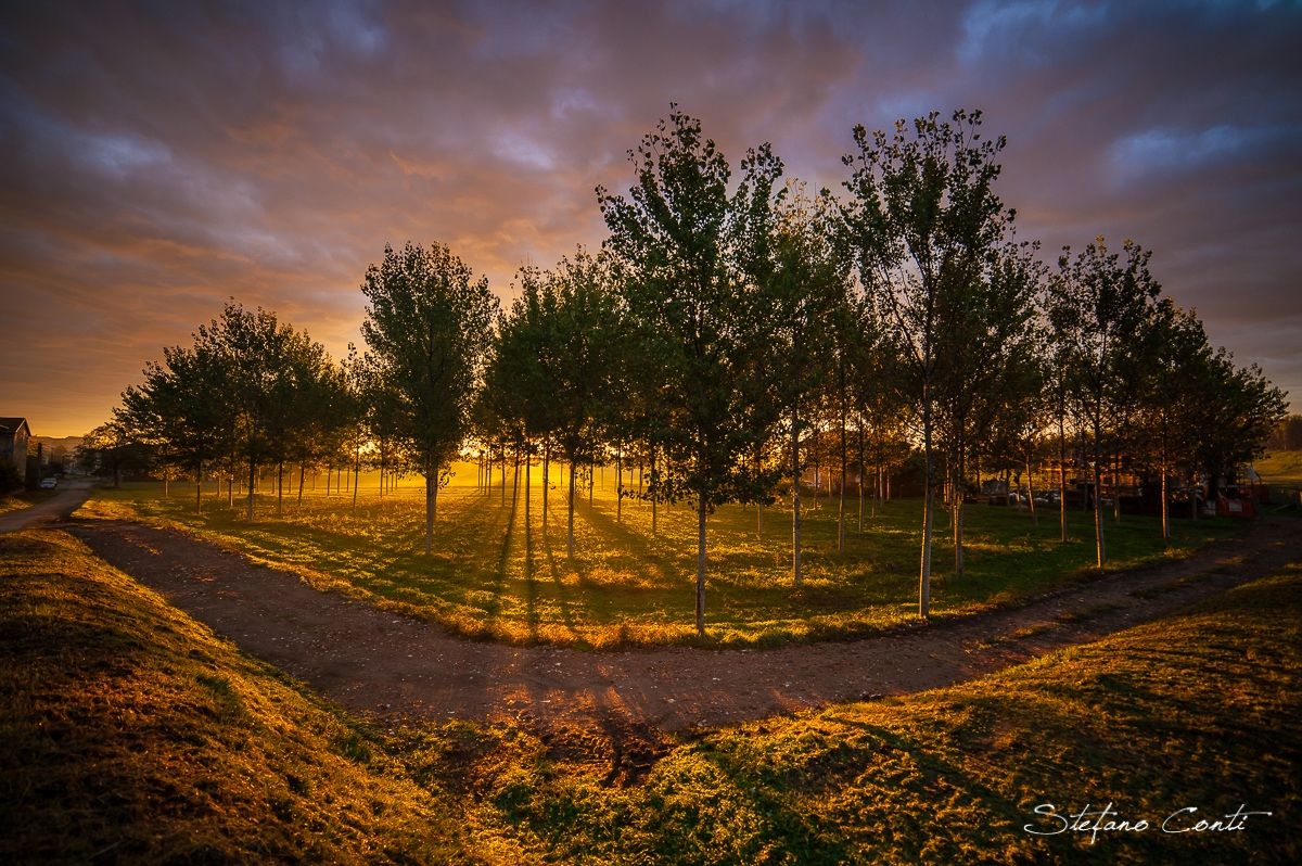 A marvelous light ...