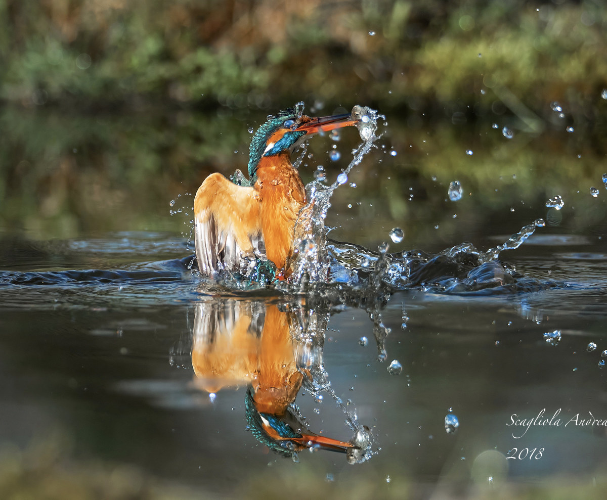 SPLLLLAAAAAAASSSSSHHHHHH4!!!!!