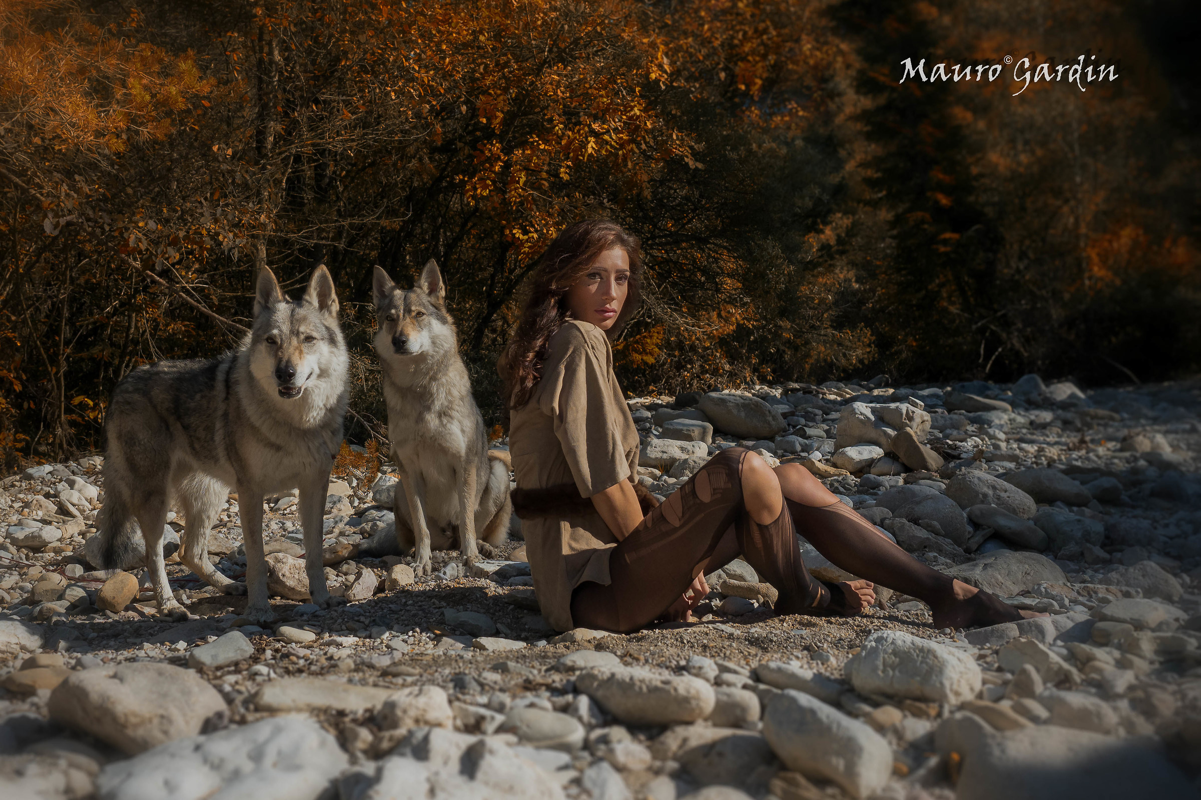 Autumn with wolves