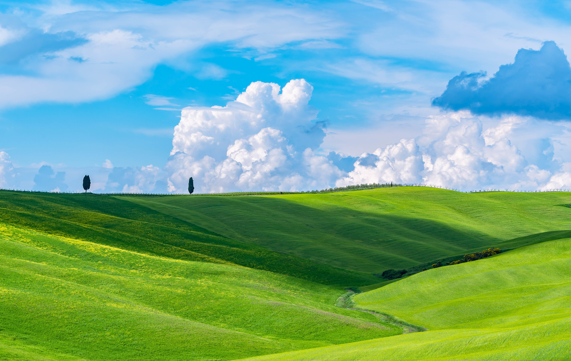 Nuovo Screen Server Windows 11.........