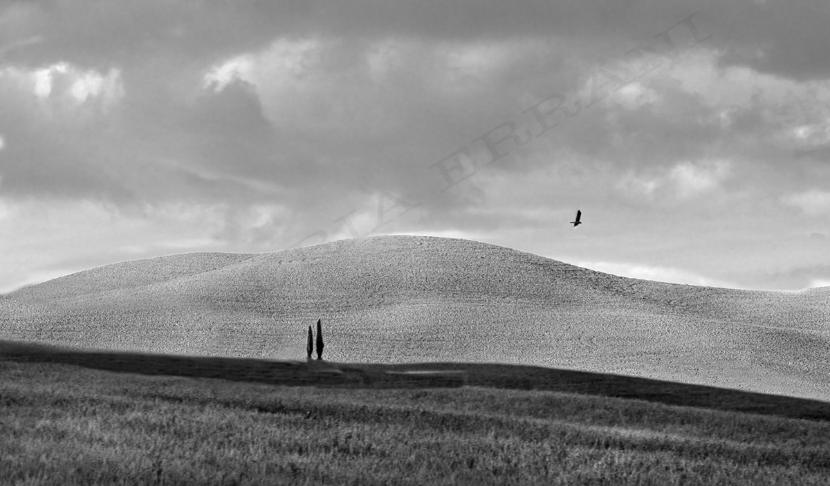 On the Wings of Freedom