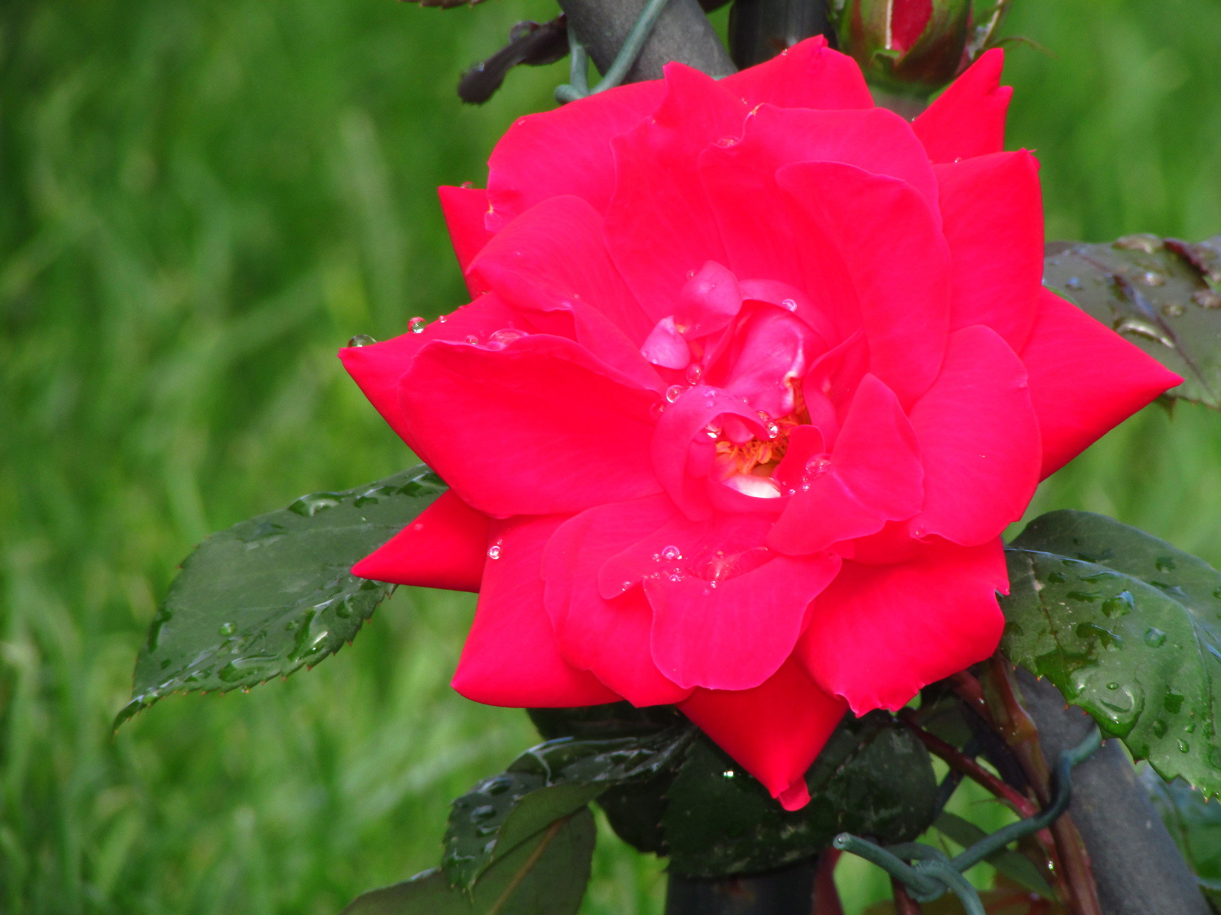 ... after a nice shower....