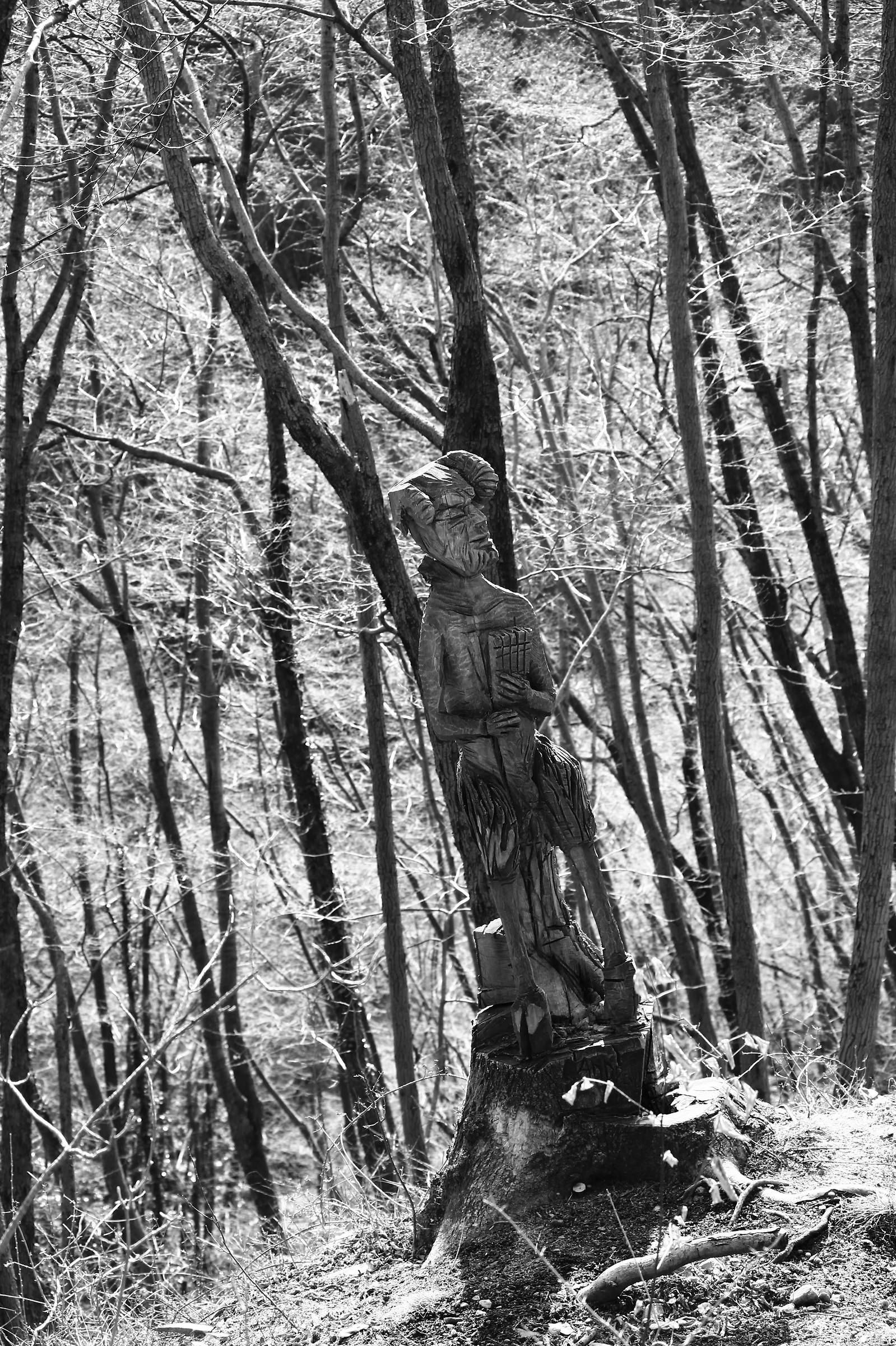 Sculptures of Legno2