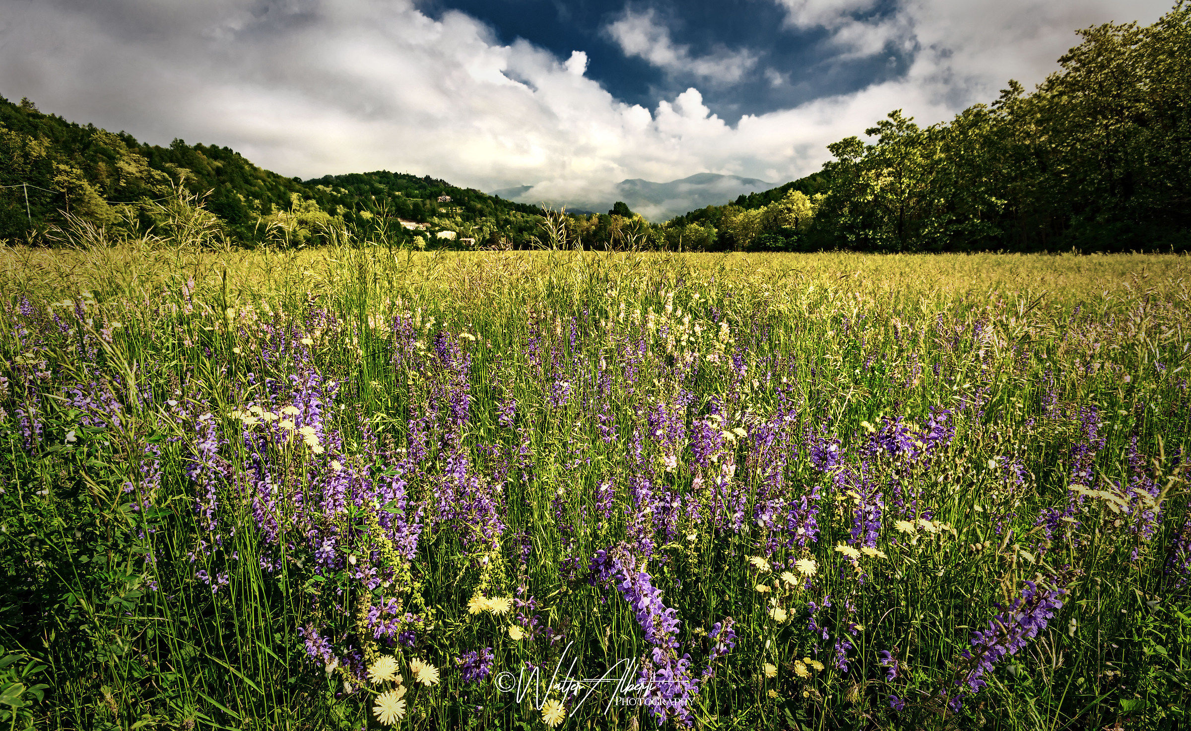 Profumi di primavera