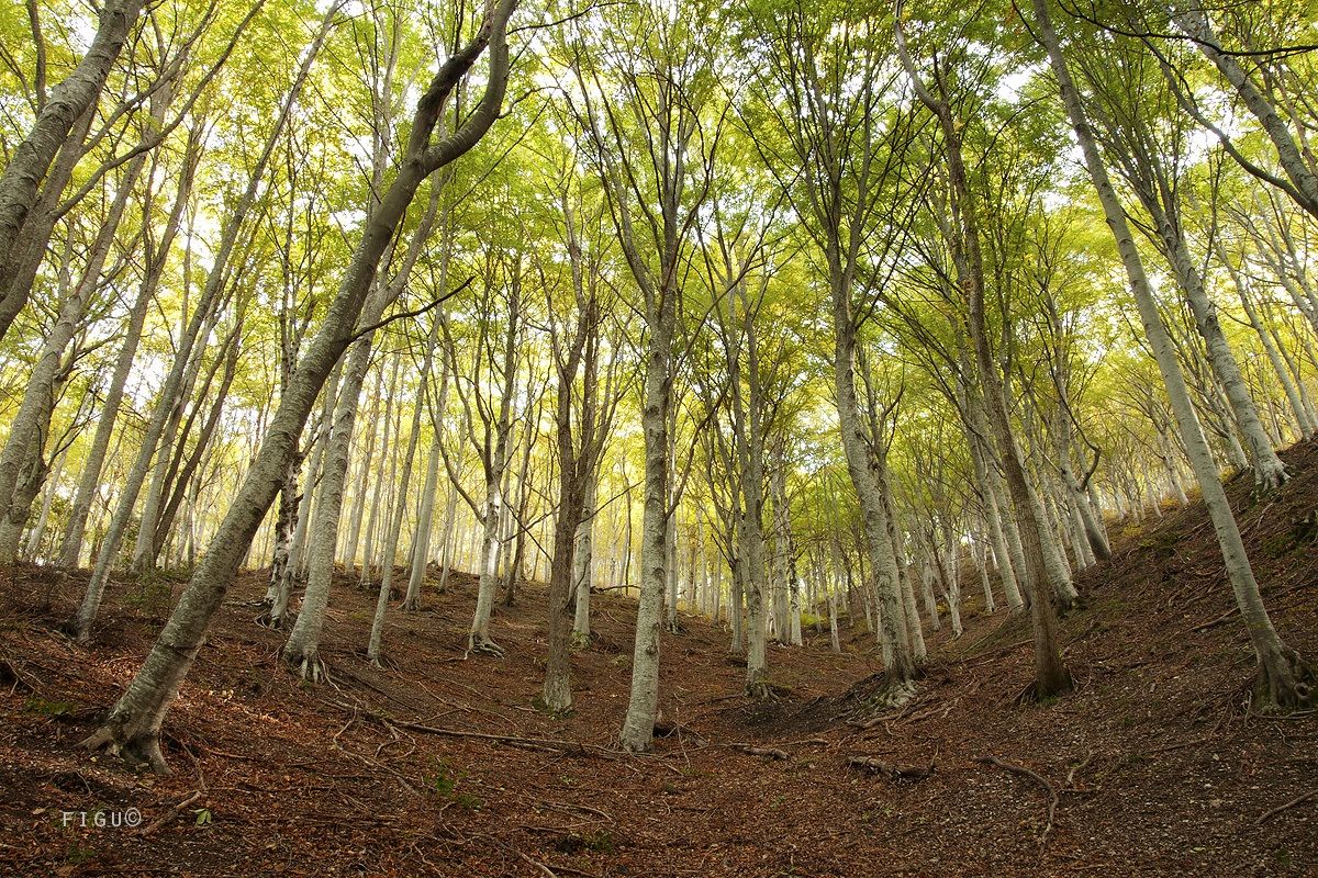 L'autunno tarda ad arrivare