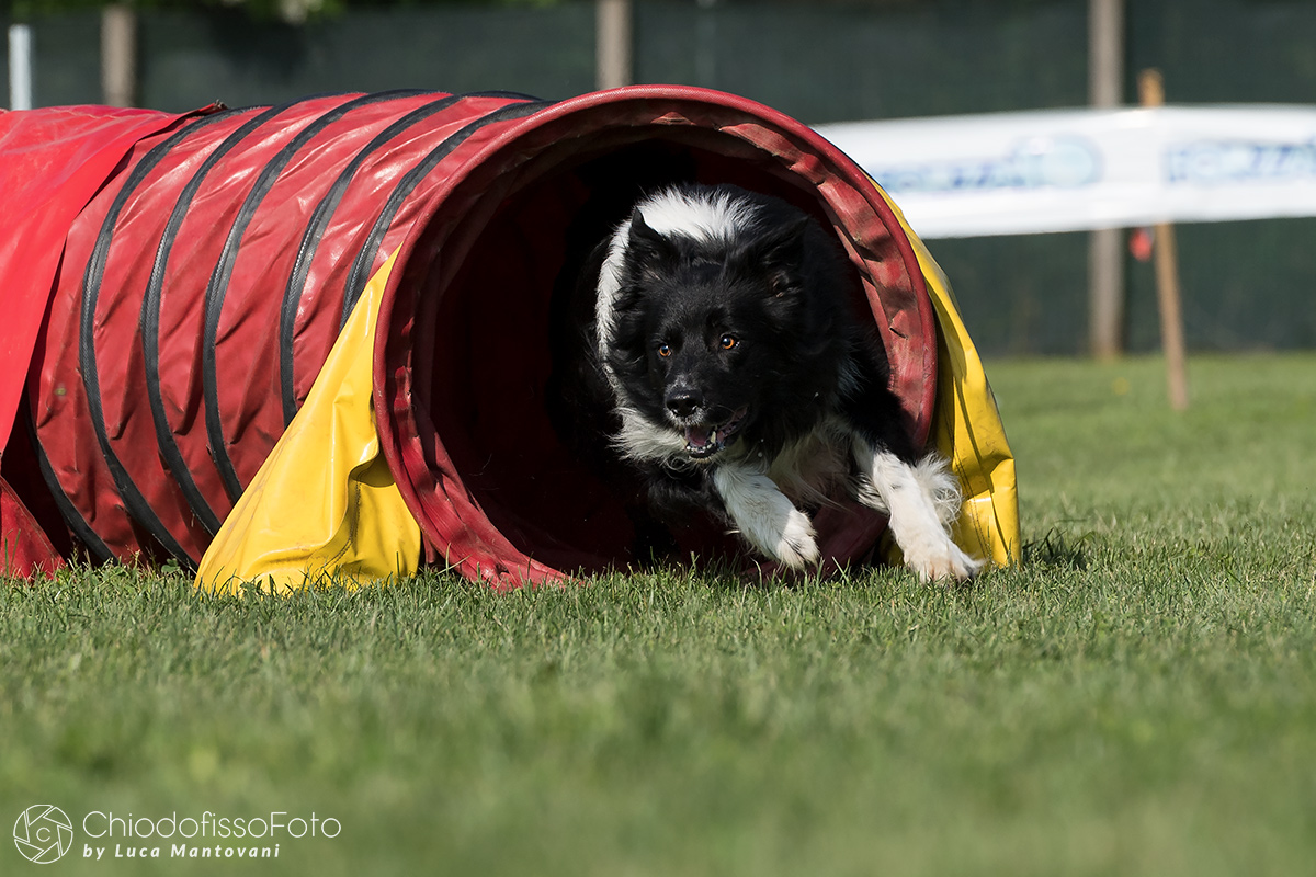 Exiting the tube at full speed