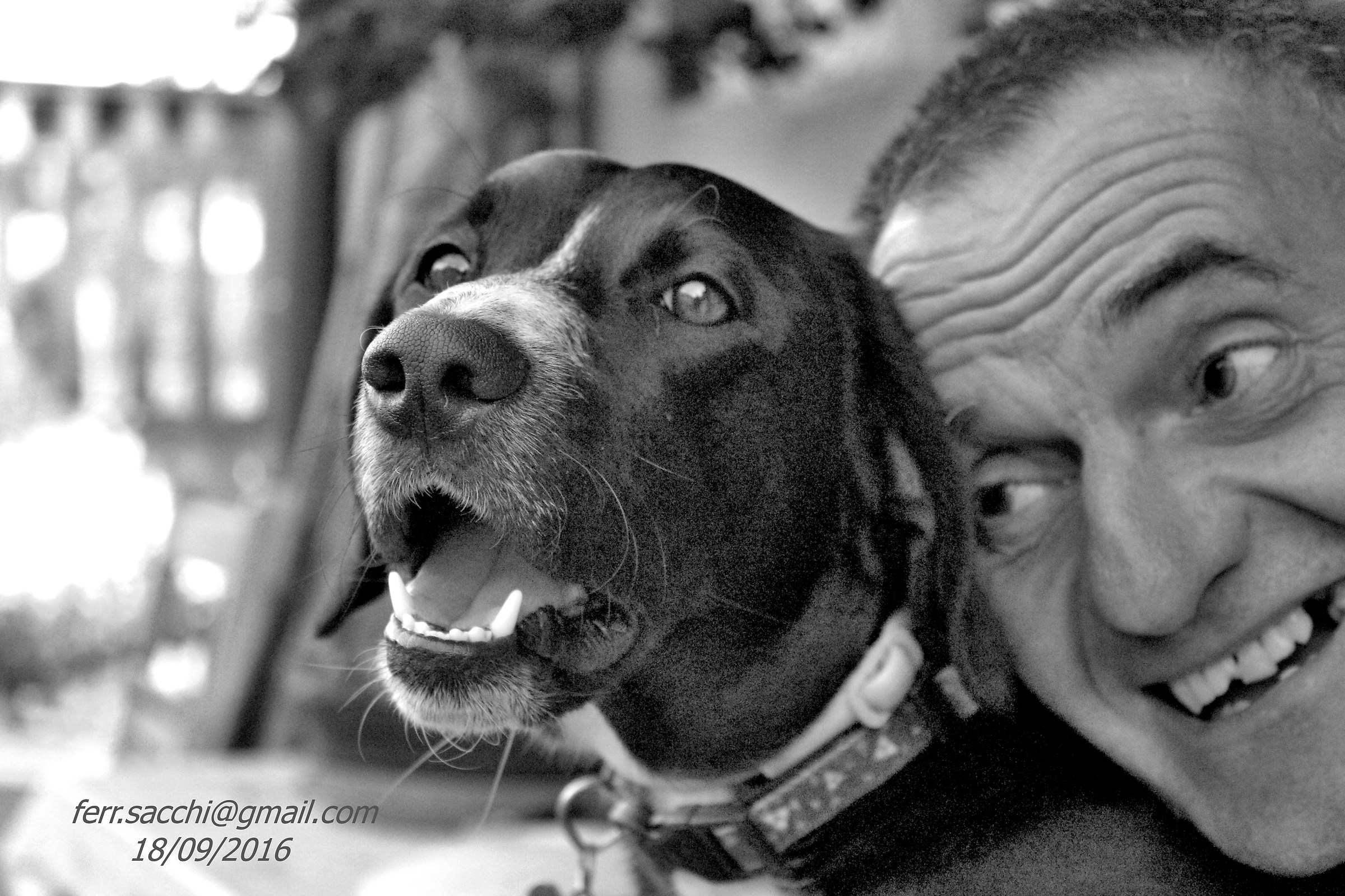 ... friendship and Fidelity 02