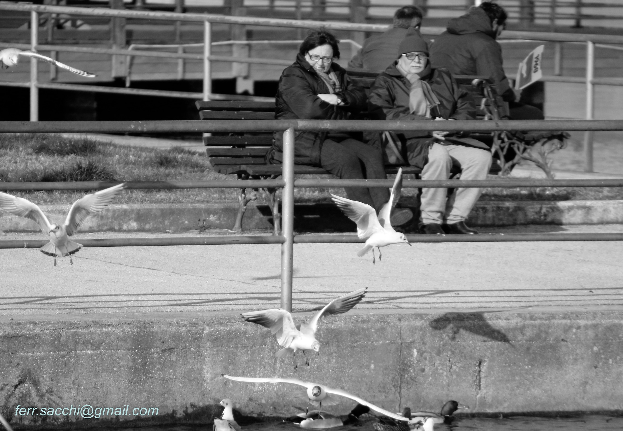 ...sogno e destino...