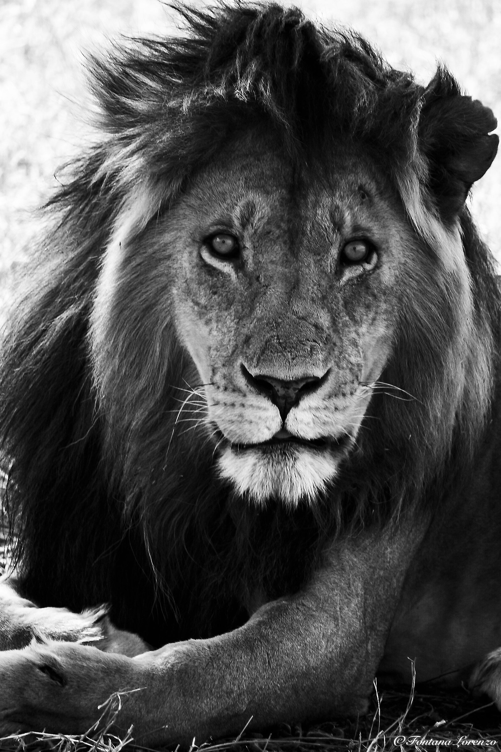 Colui che saluta col fuoco