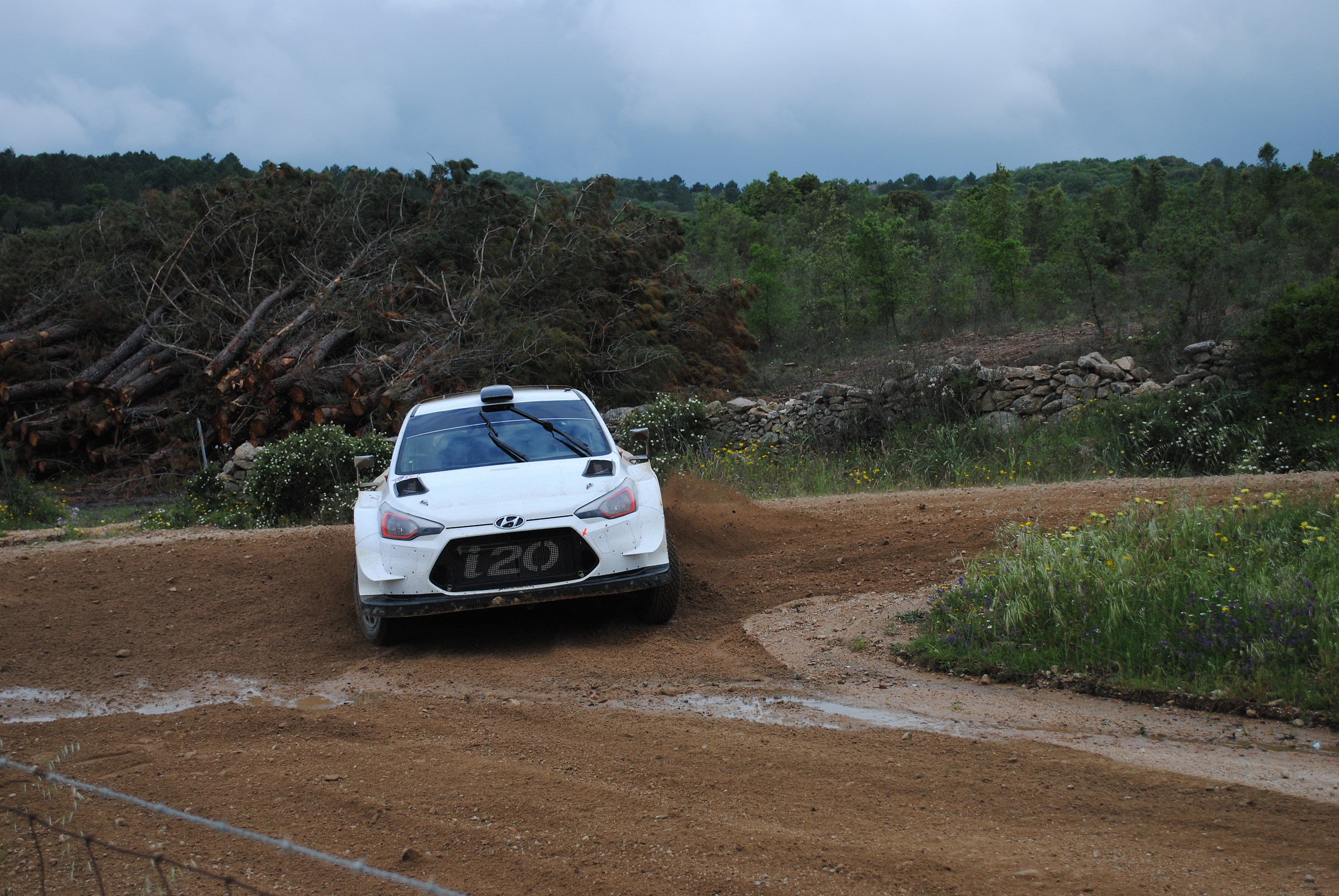 Test WRC