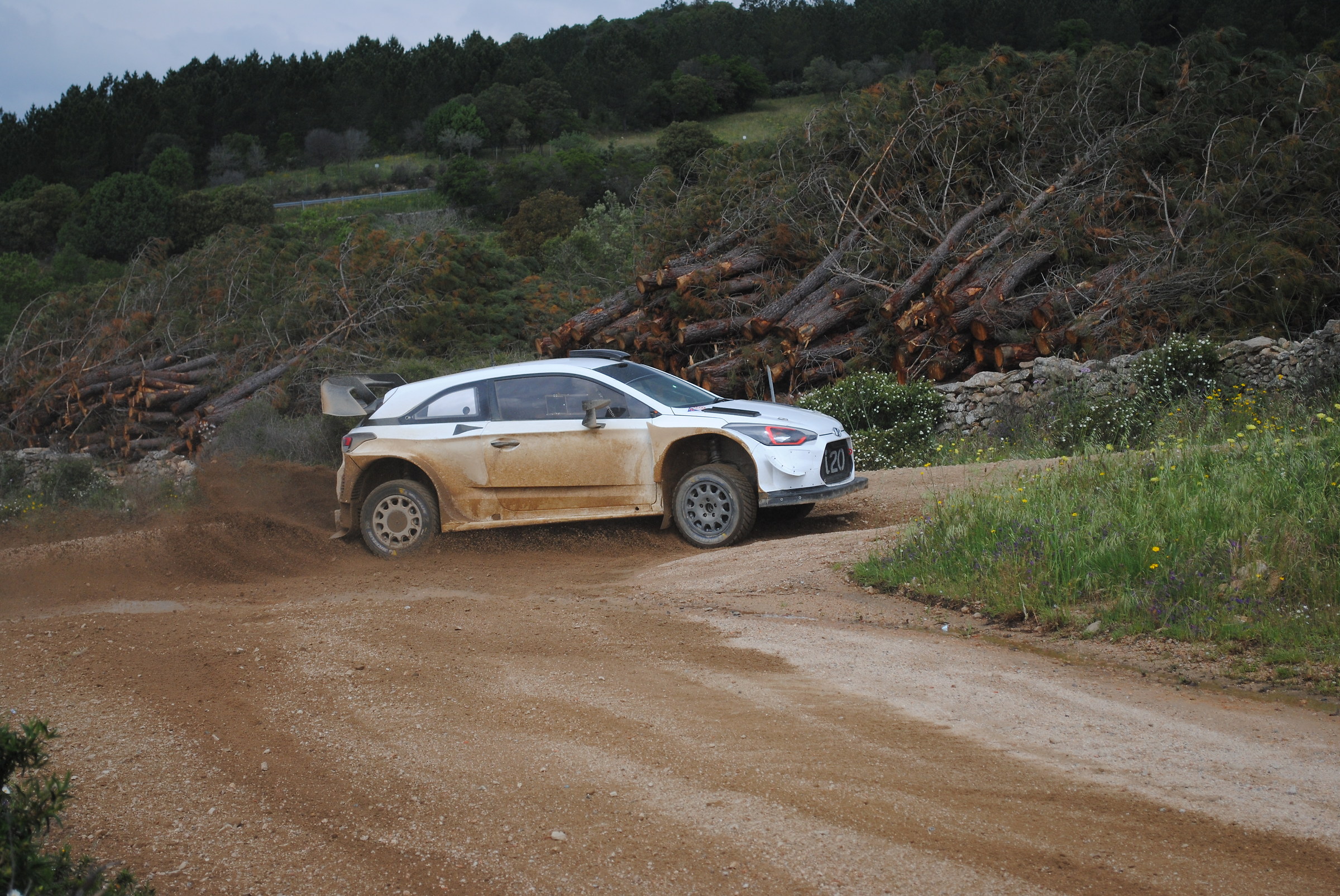 TEST WRC