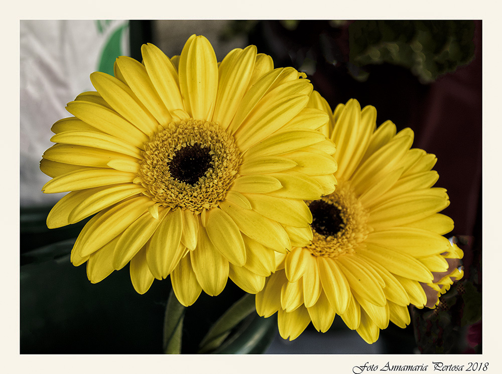 After the Chianciano ice cream