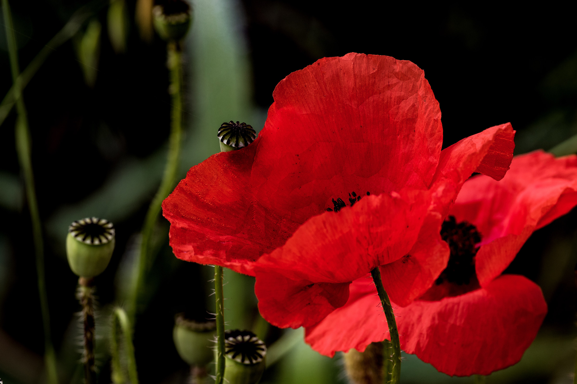 Il vecchio e il nuovo