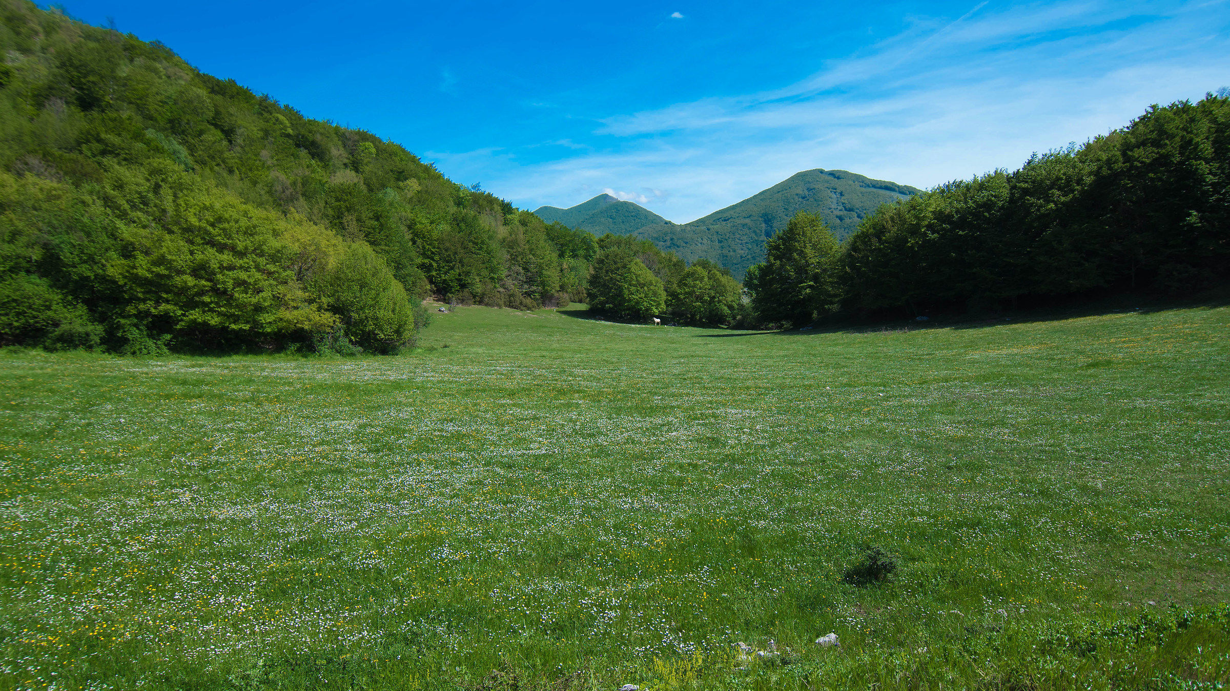 Quel puntino laggiù è un cavallo?