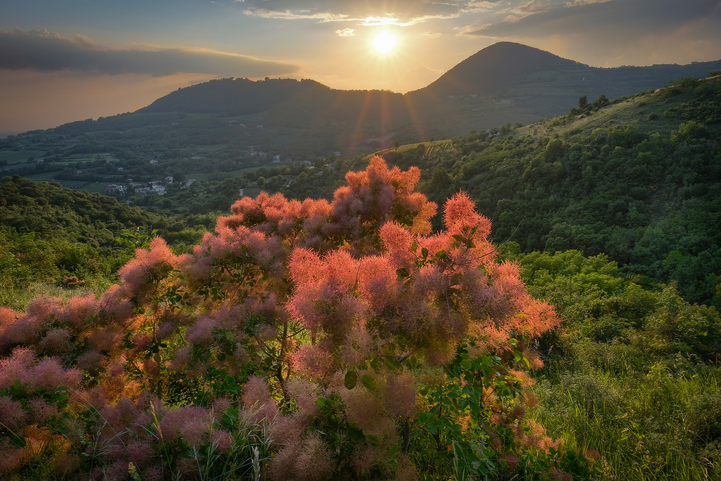 The Enchanted Valley