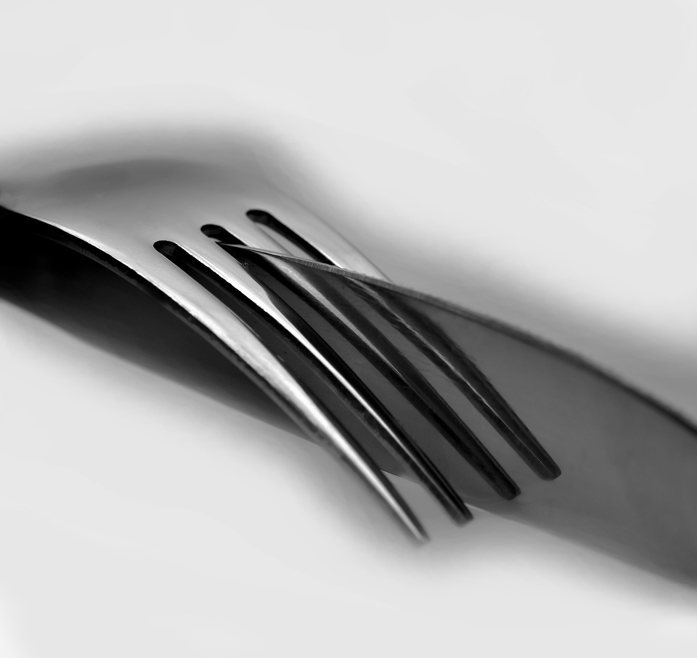 ... the lines continue