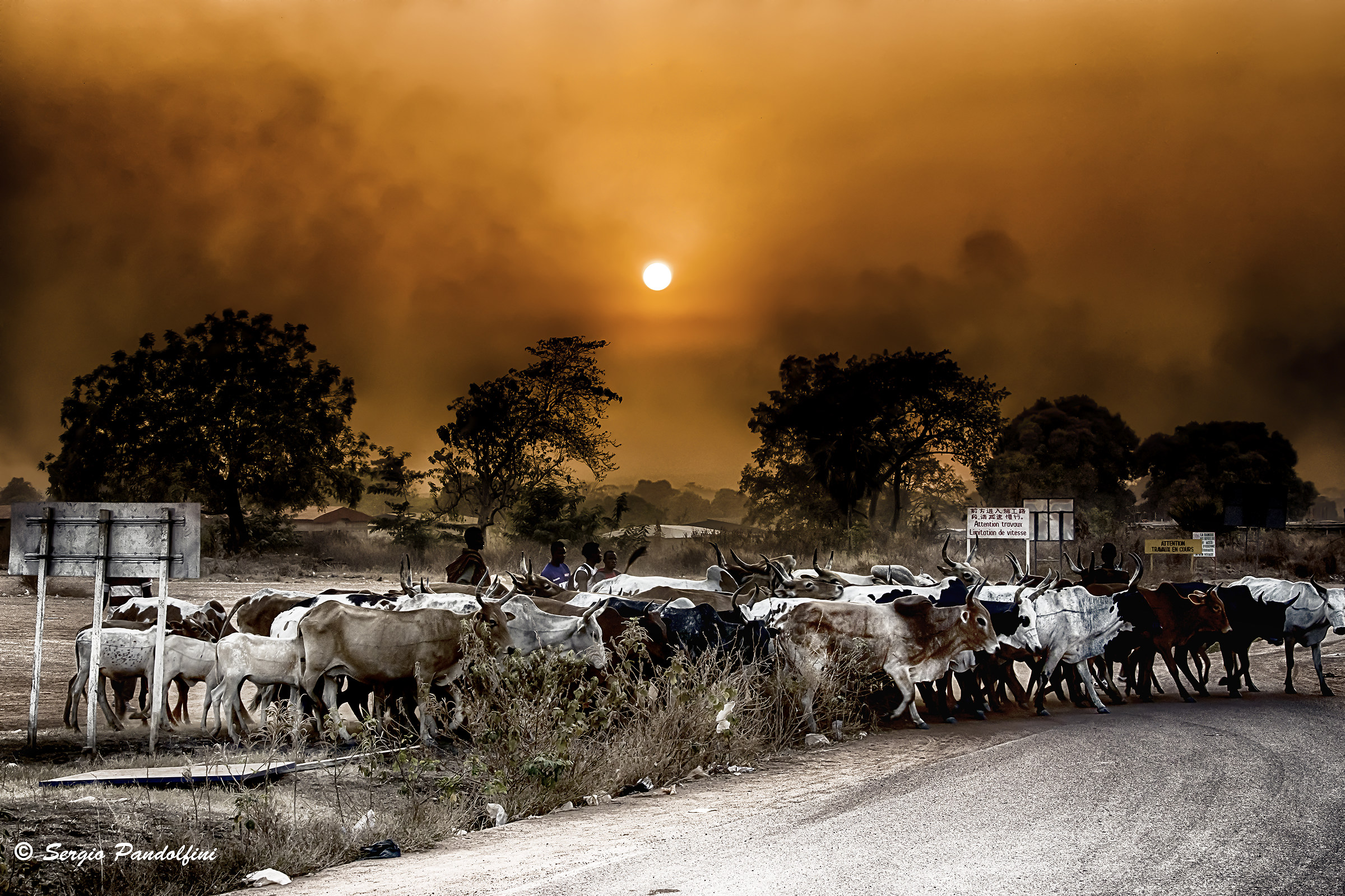 Harmattan is coming..