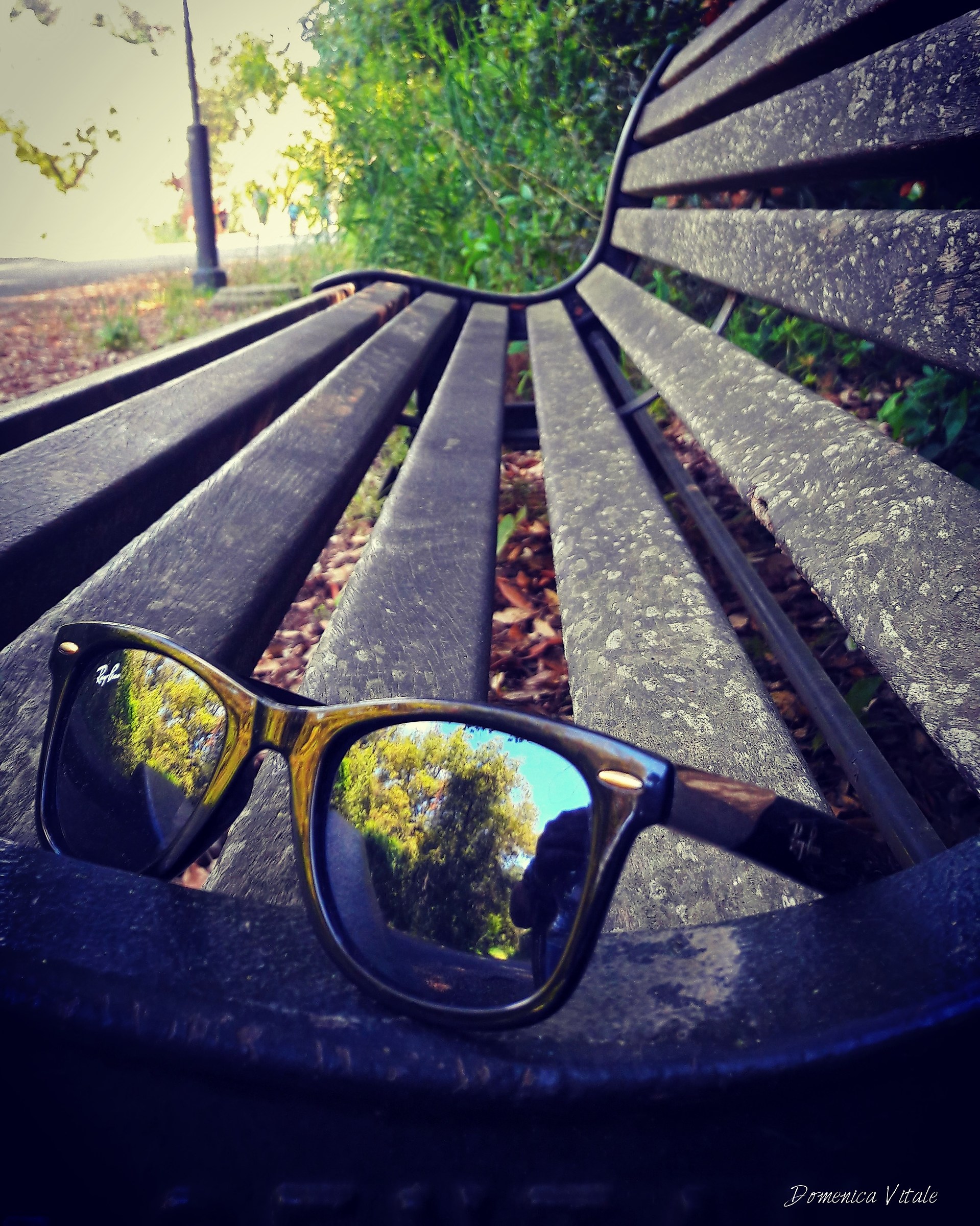 Il riflesso della natura