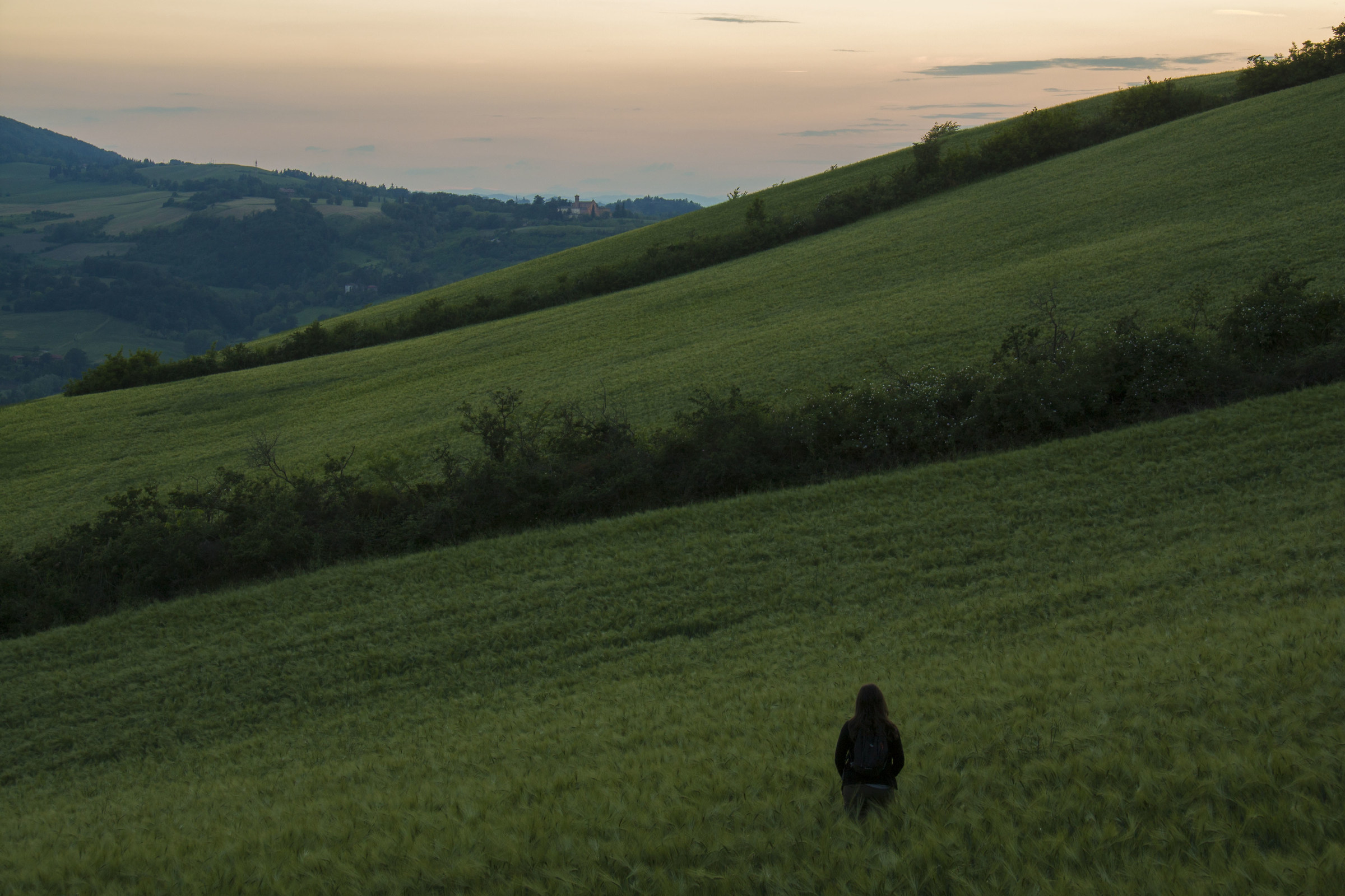 Walking on the Bolognese hills at sunset
