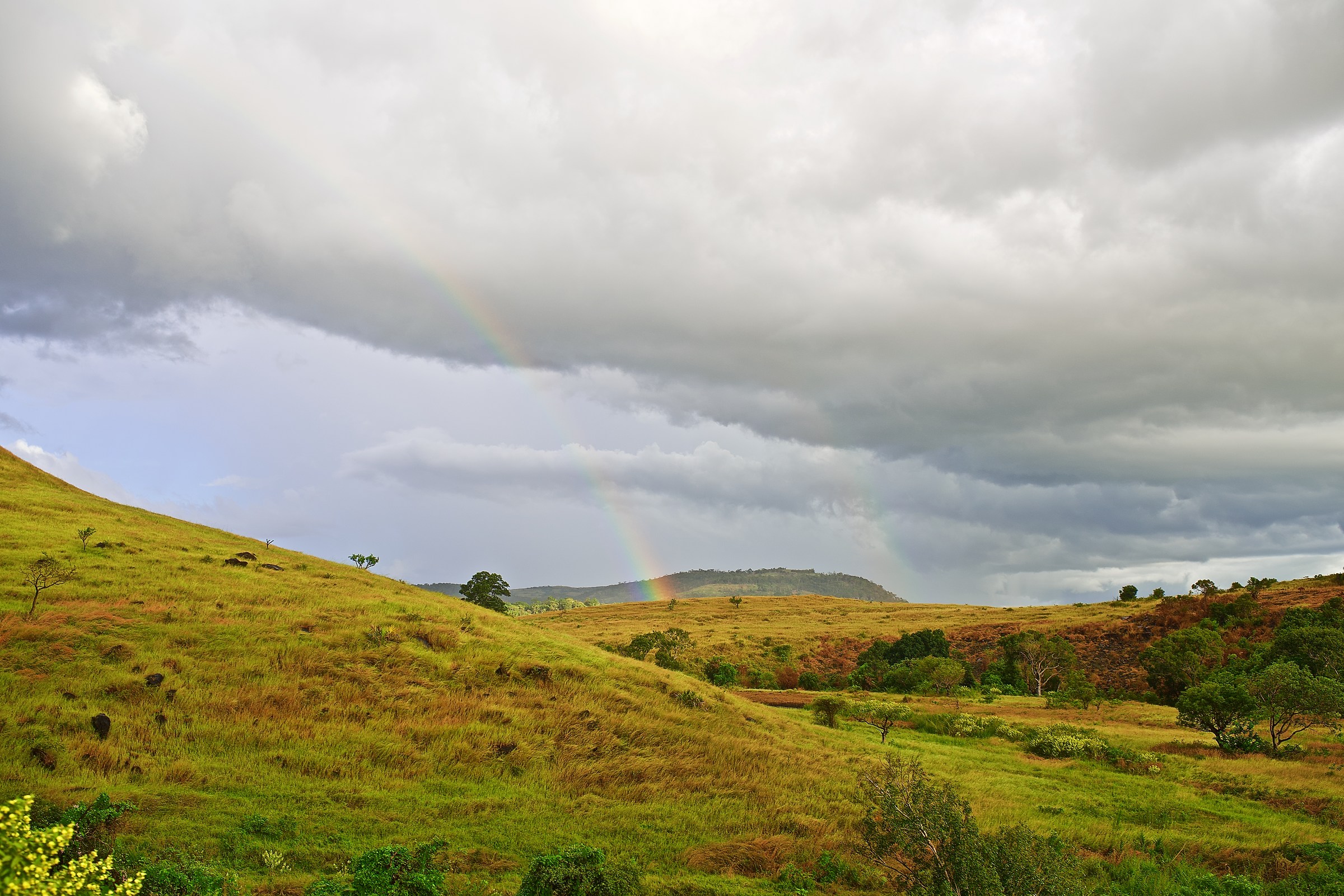 Rainbow on the Hills