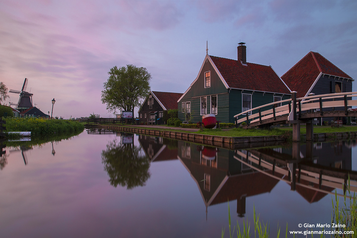 Zaanse-Hans (28/04/18)