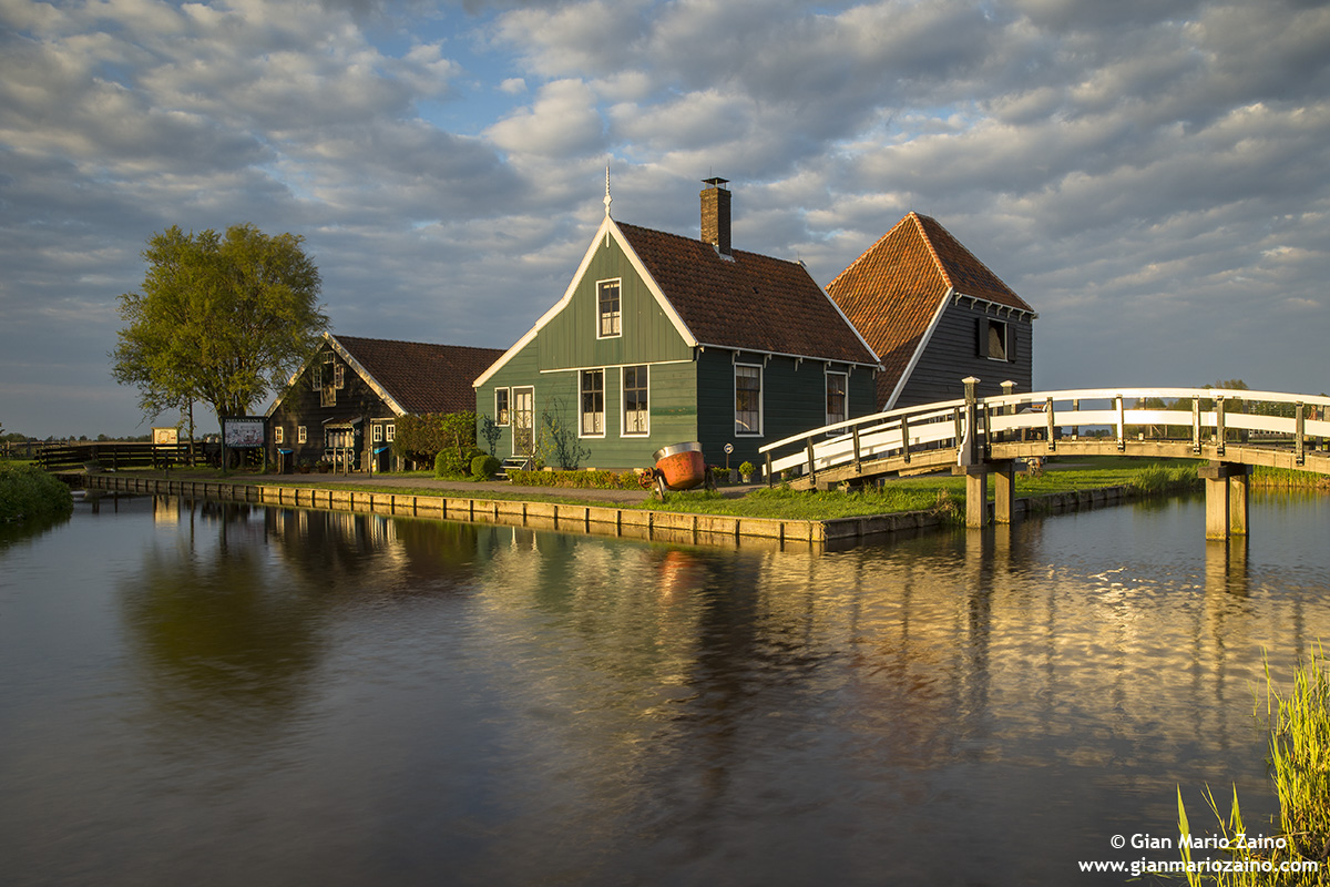 Nederlands-Zaanse-Hans (27/04/18)