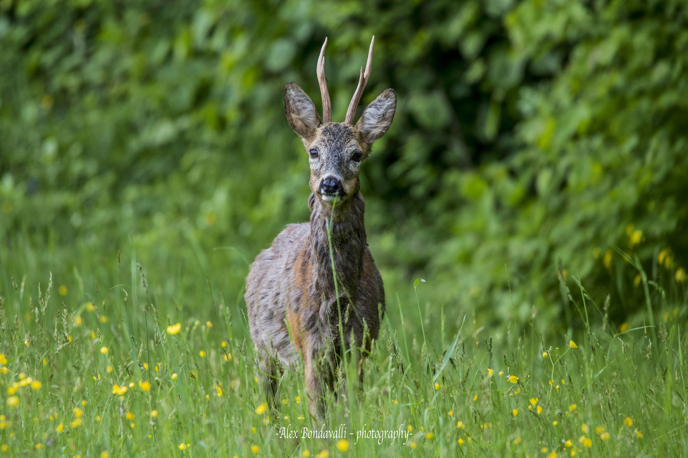 With the first warm it is time to change the mantle...