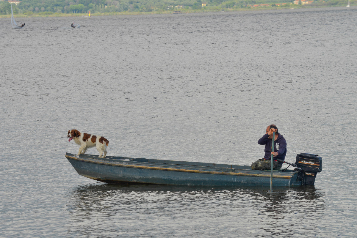 Torre del Lago Puccini Lu