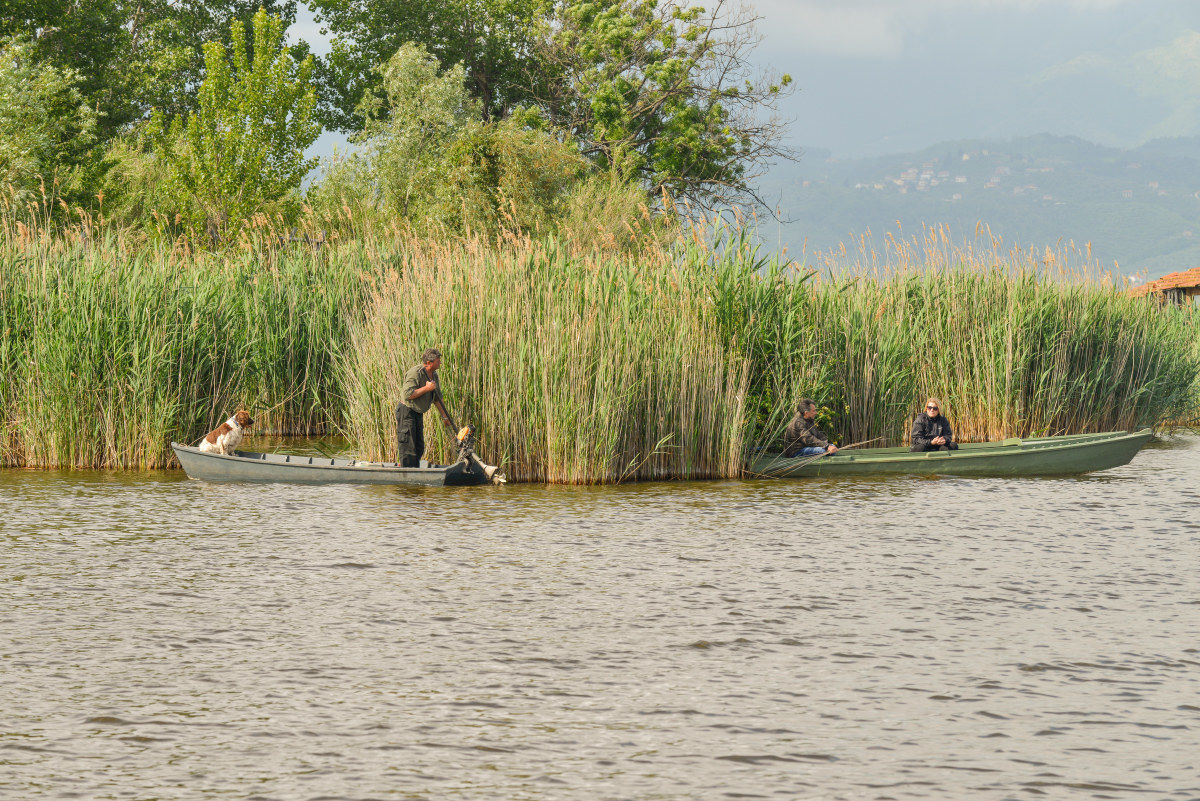 Torre del Lago Puccini. Lu