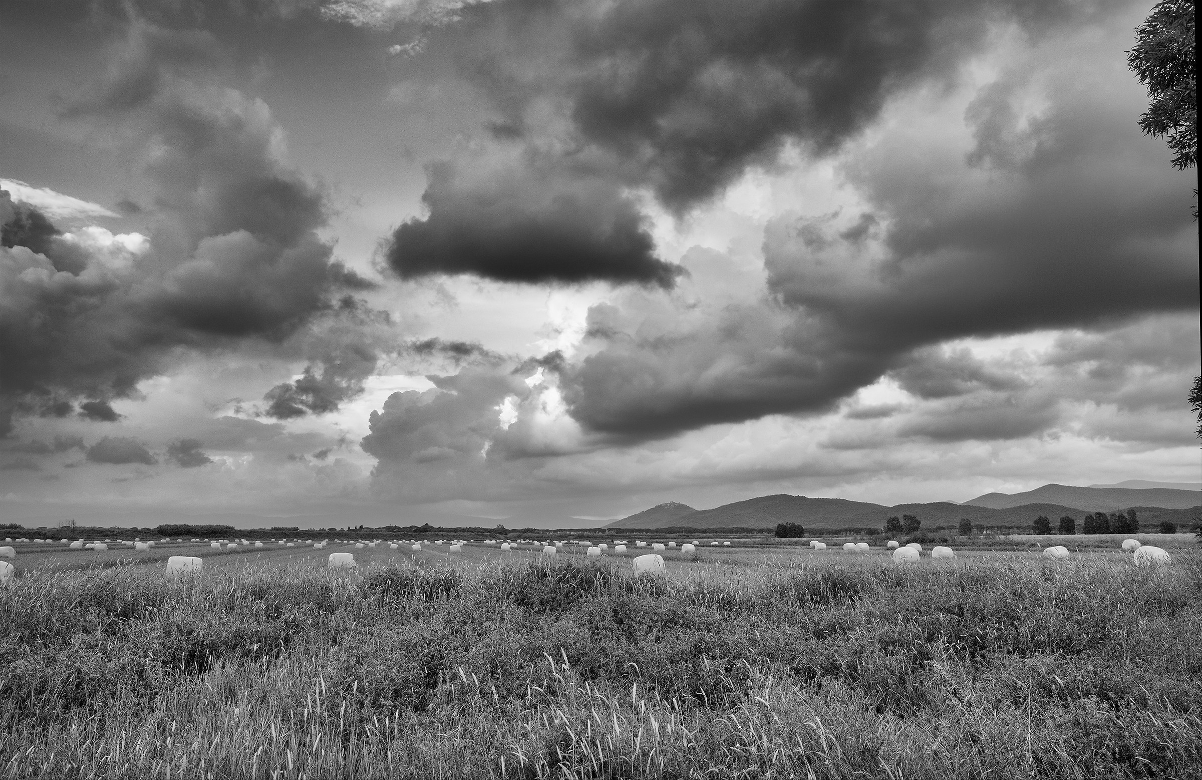 Tutti mi dicon Maremma, Maremma...