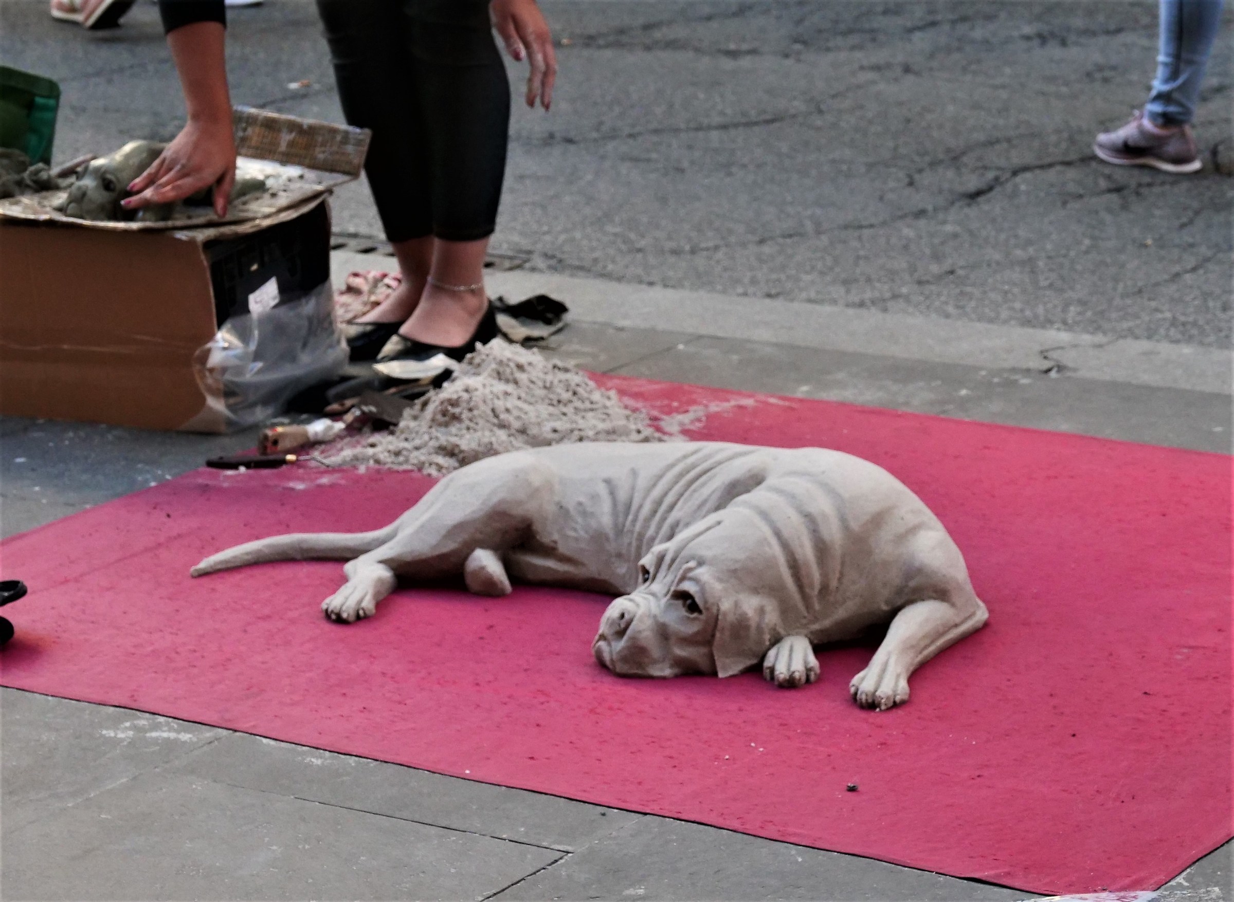 Lumix G9 + oly 12-100