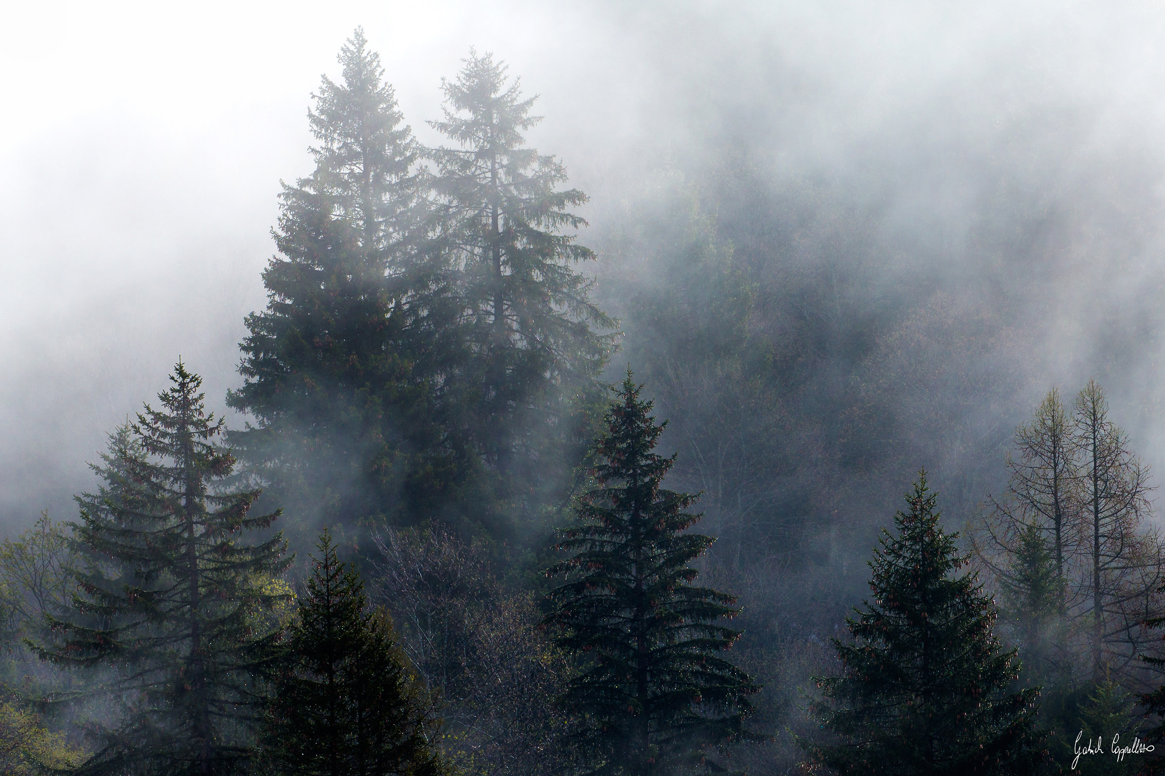 Right into the bones