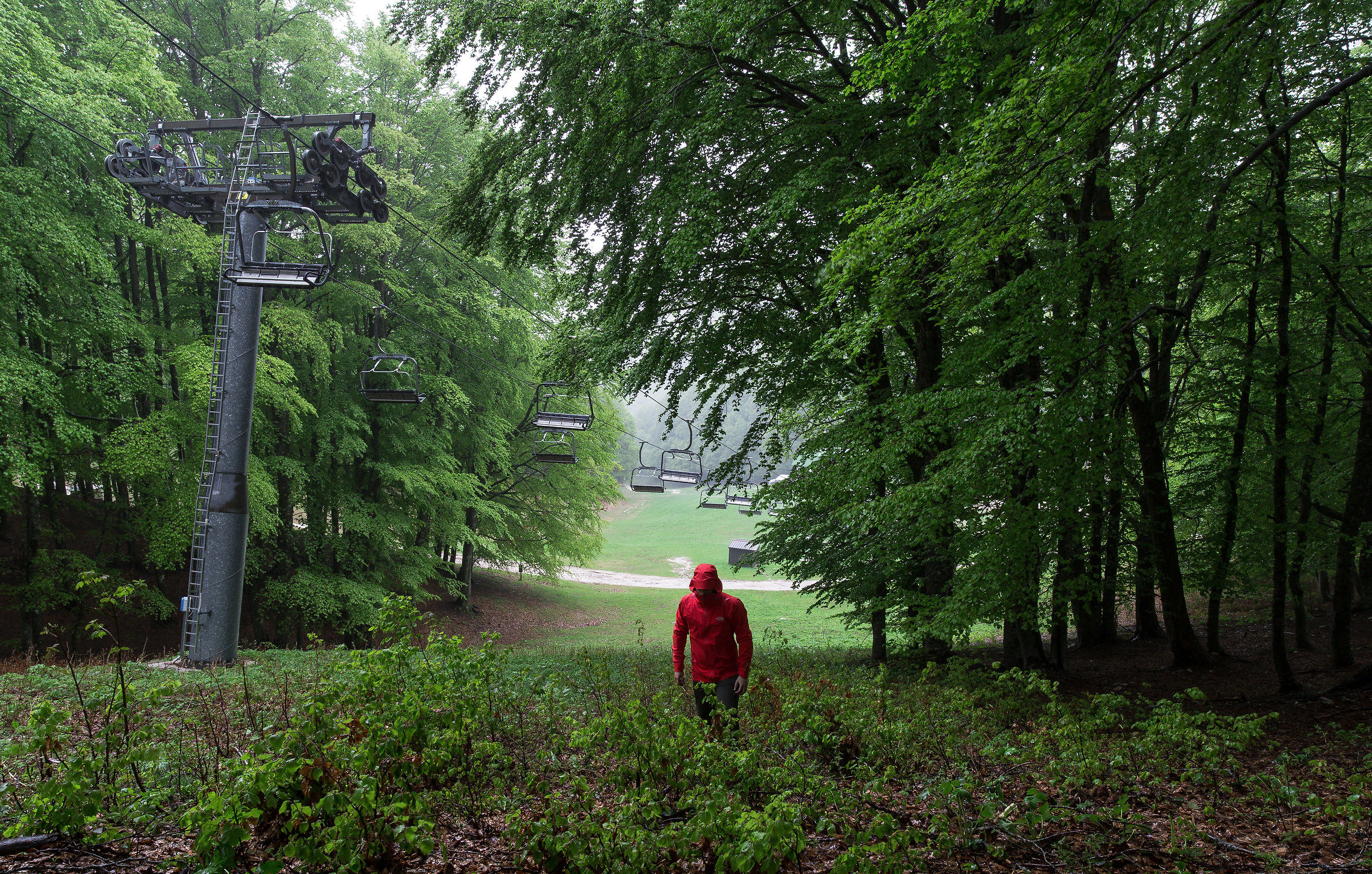 Going up in the rain