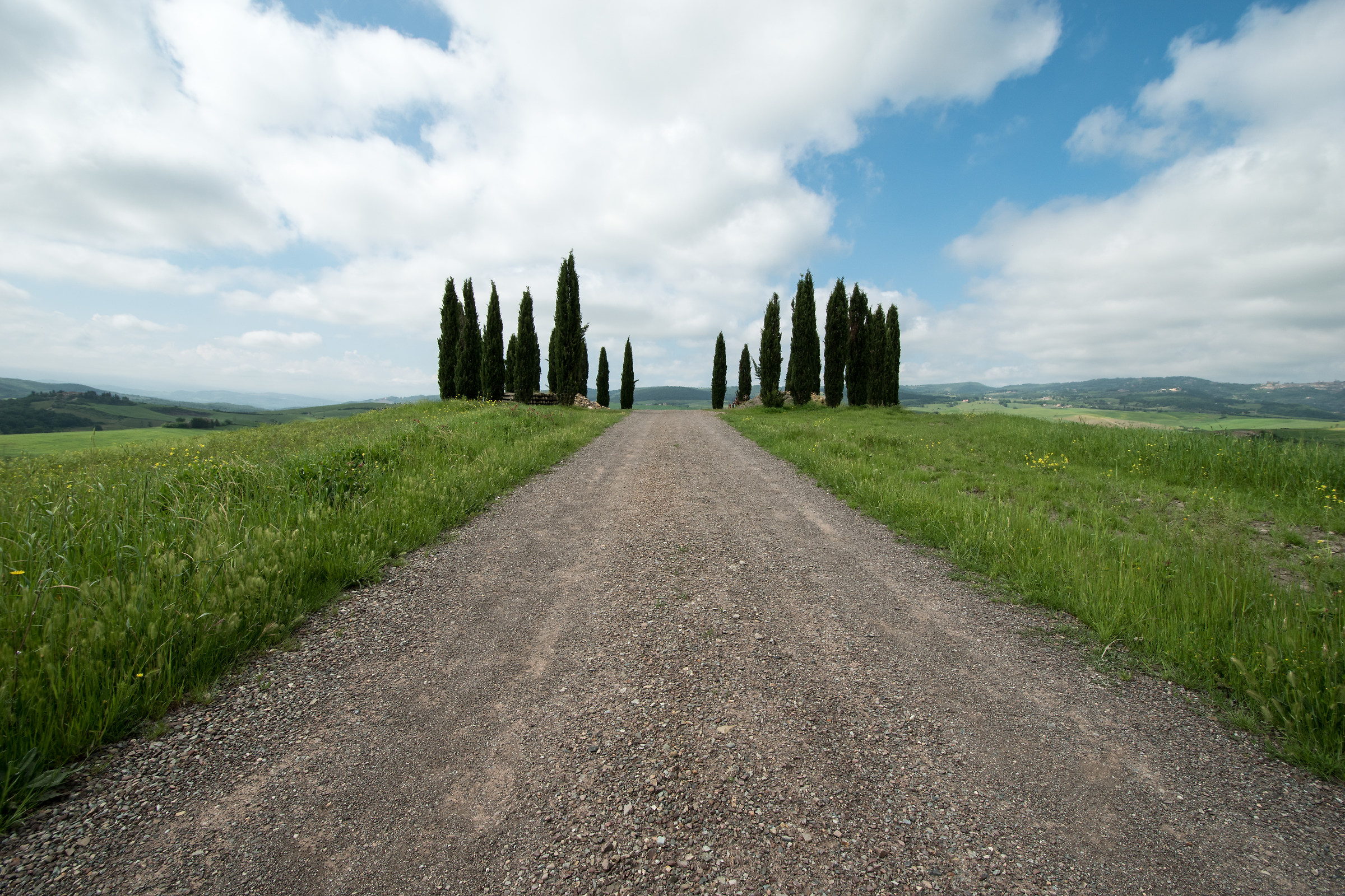 Circle of cypress Trees