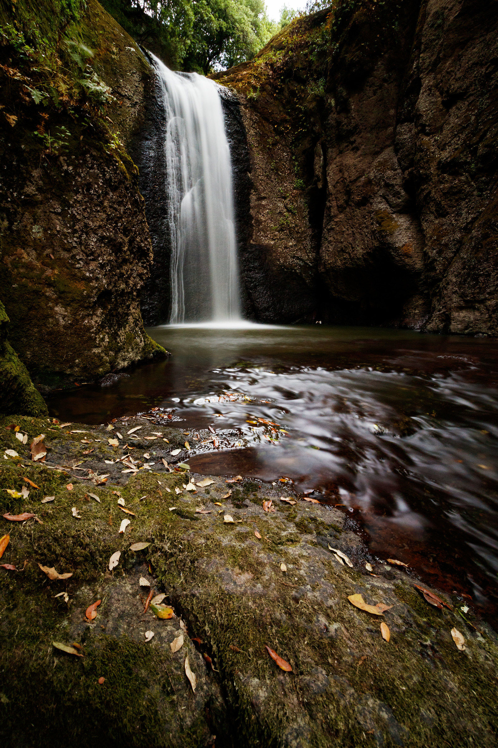 Cascade of sediments