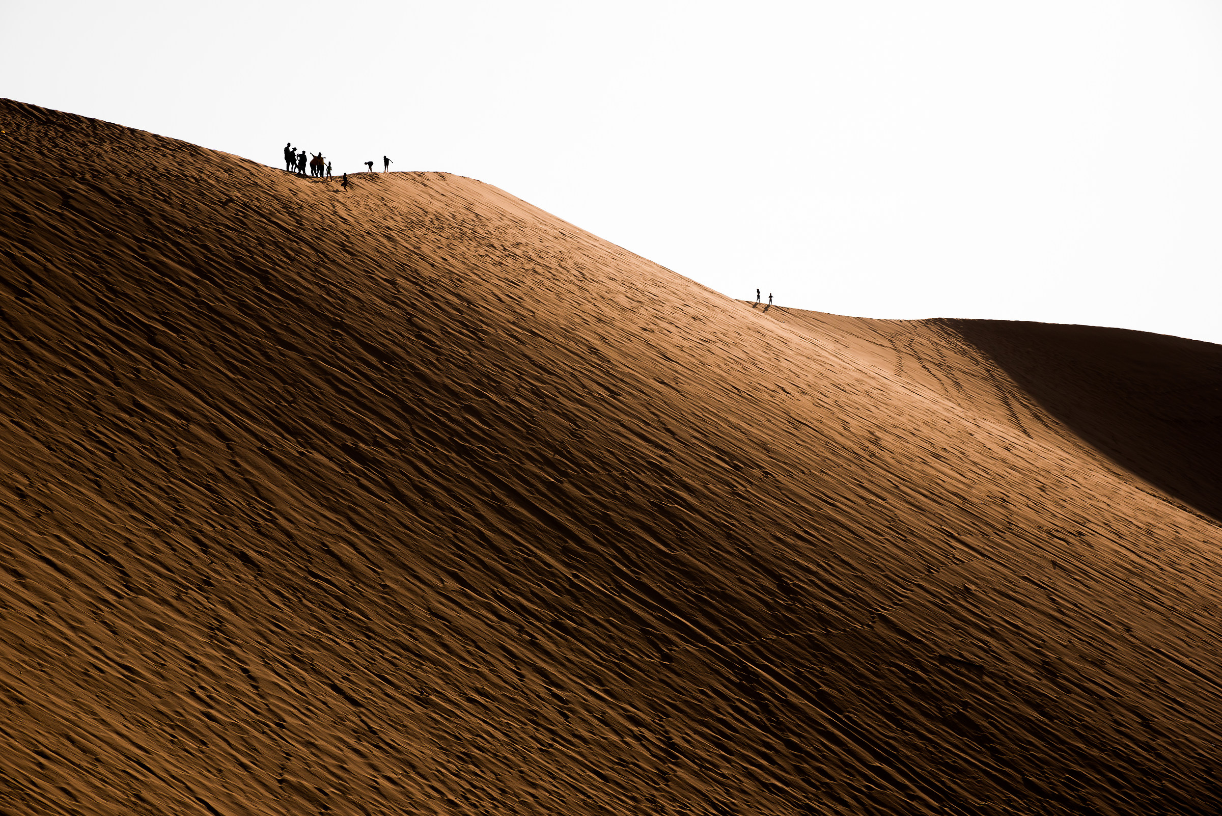 Dune 7