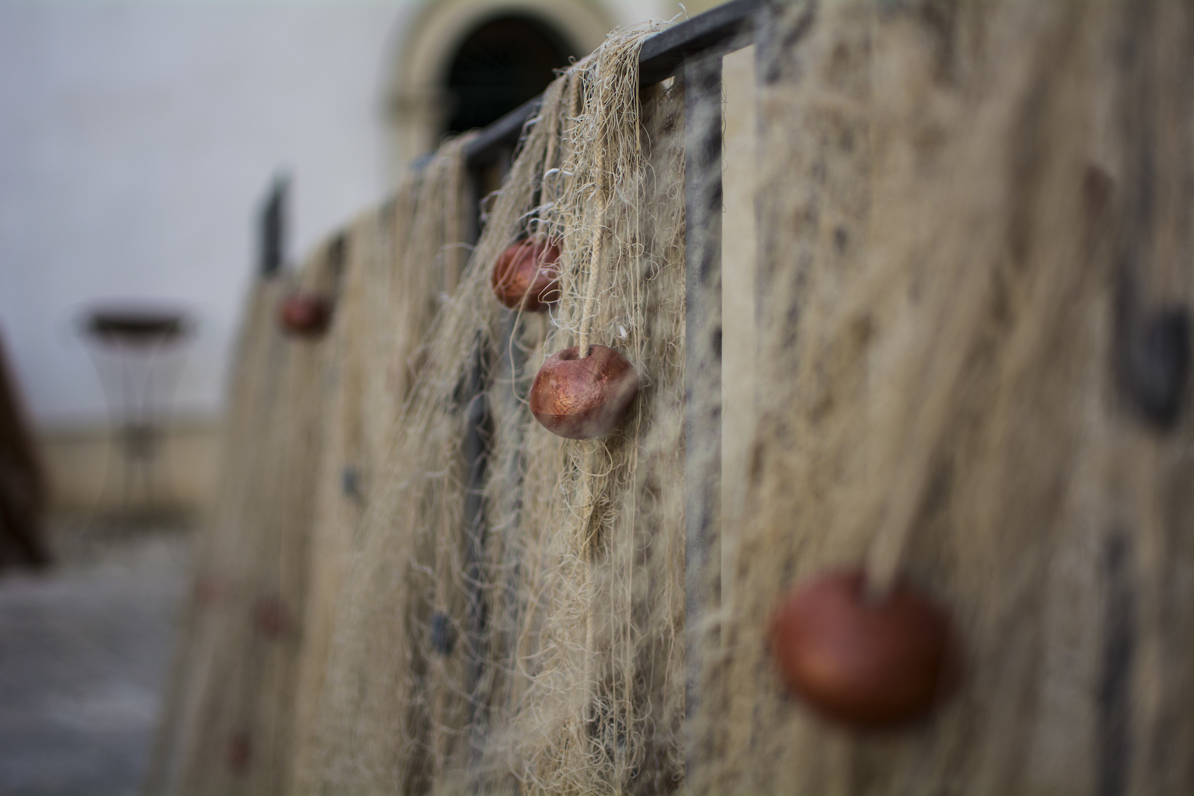 L'eco di antiche feste