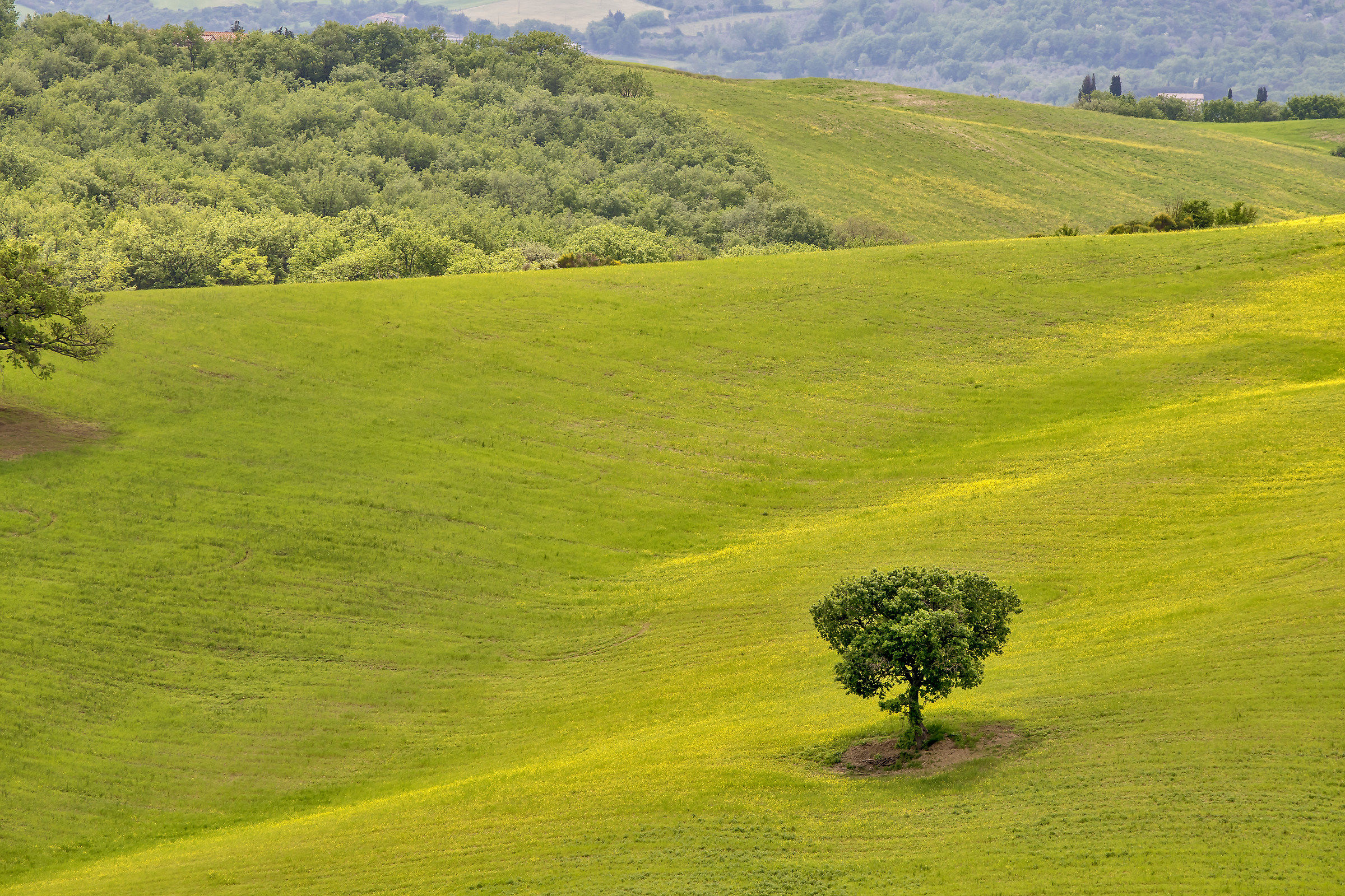 The valley from the top