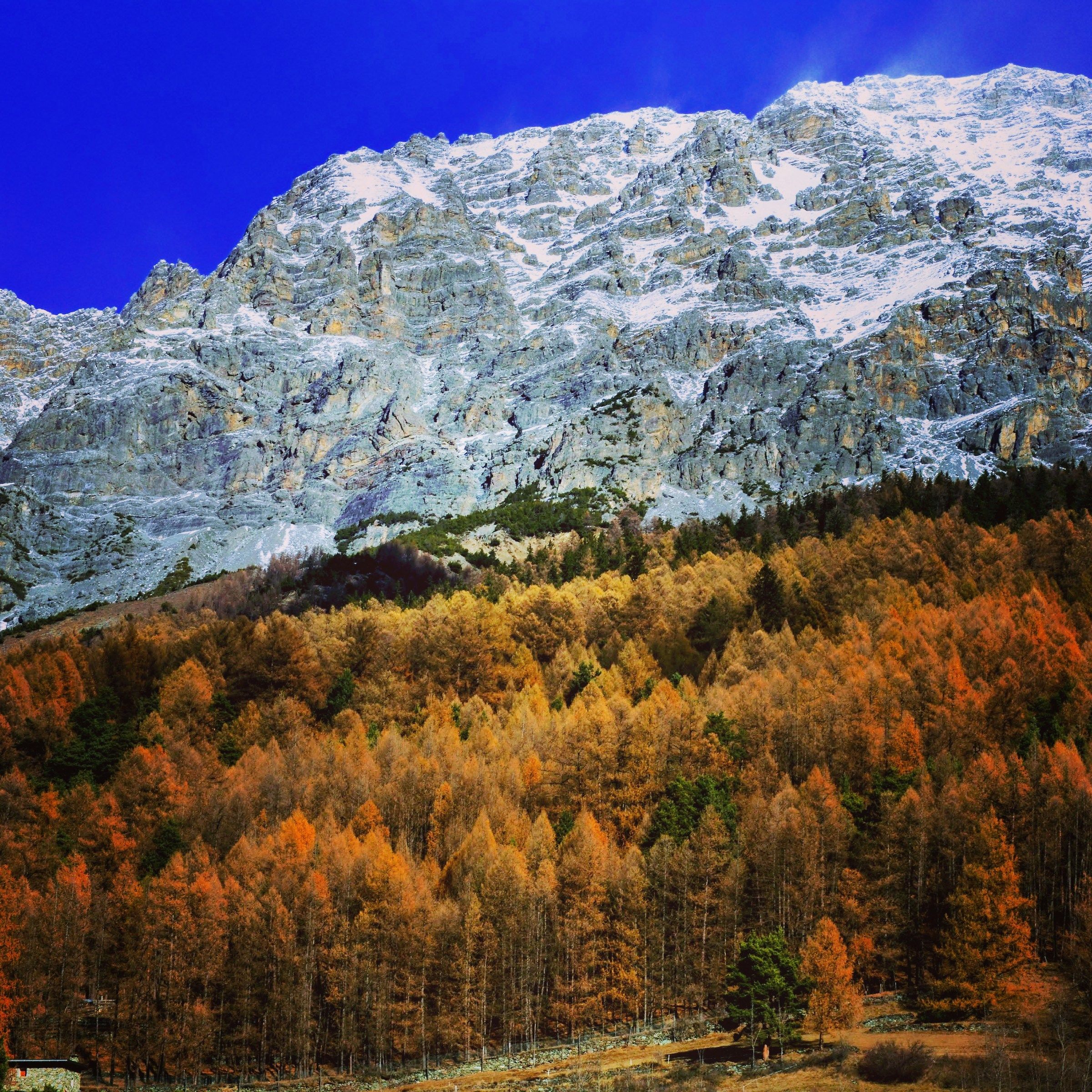 Colori della montagna