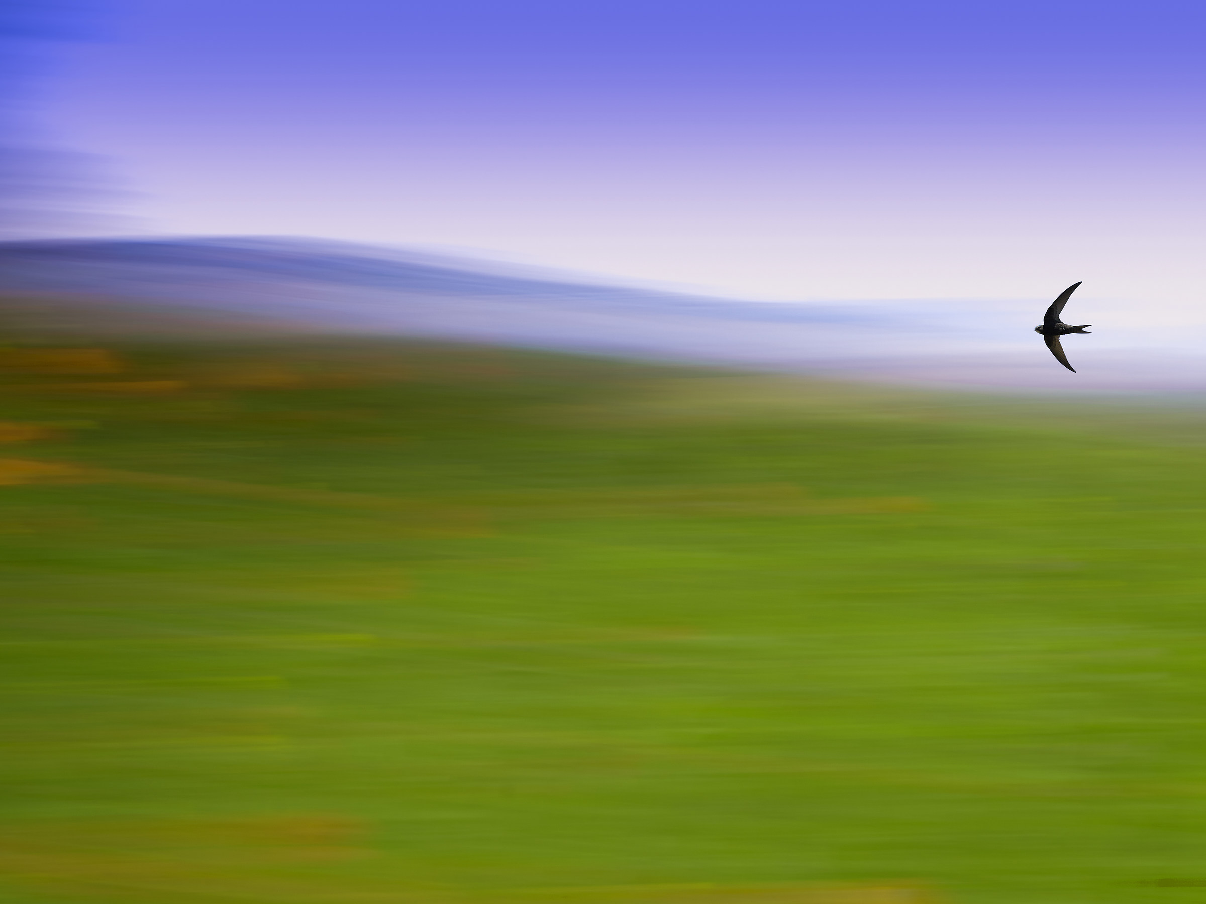 Towards a new Beginning