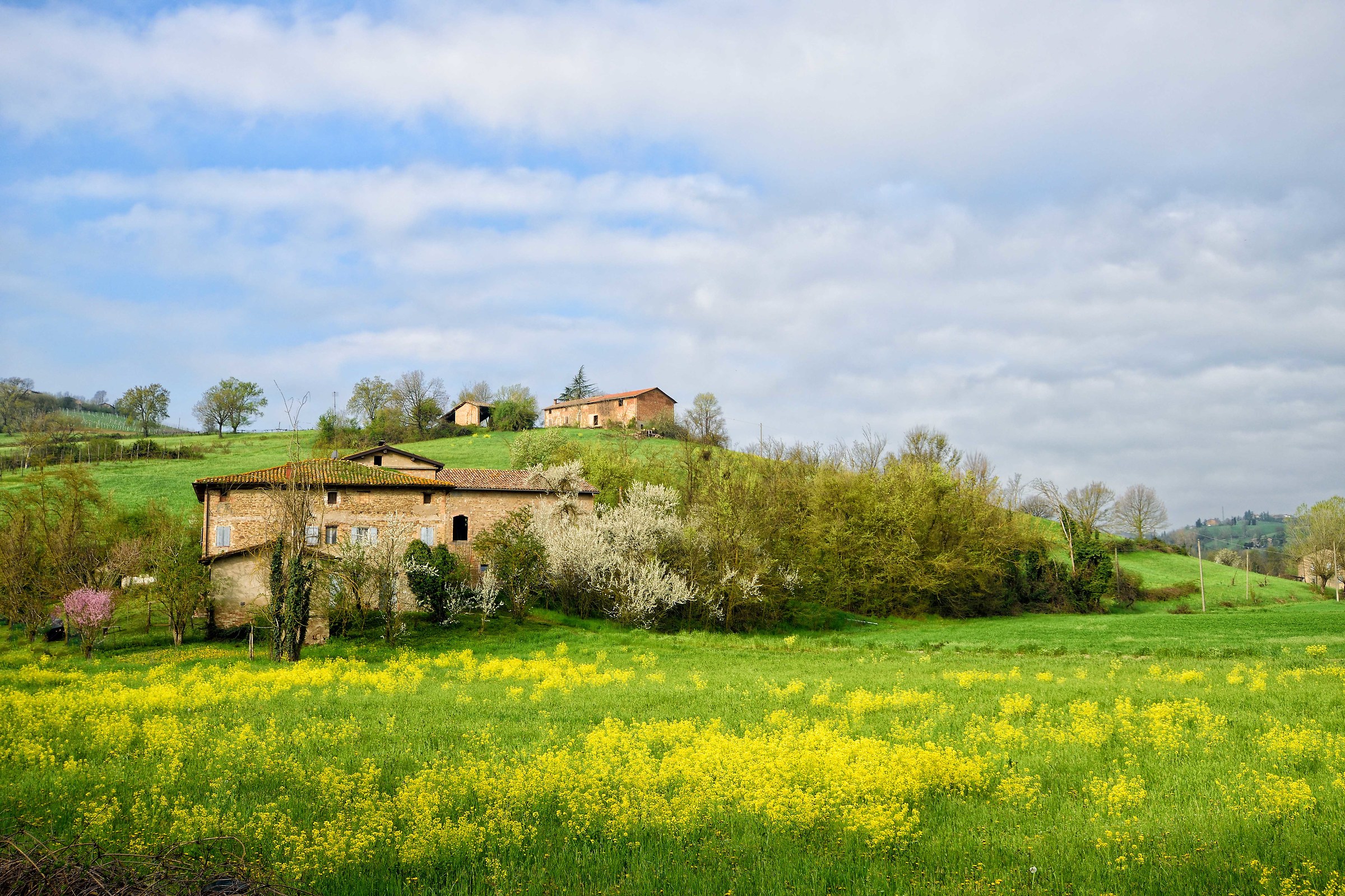 The colors of spring