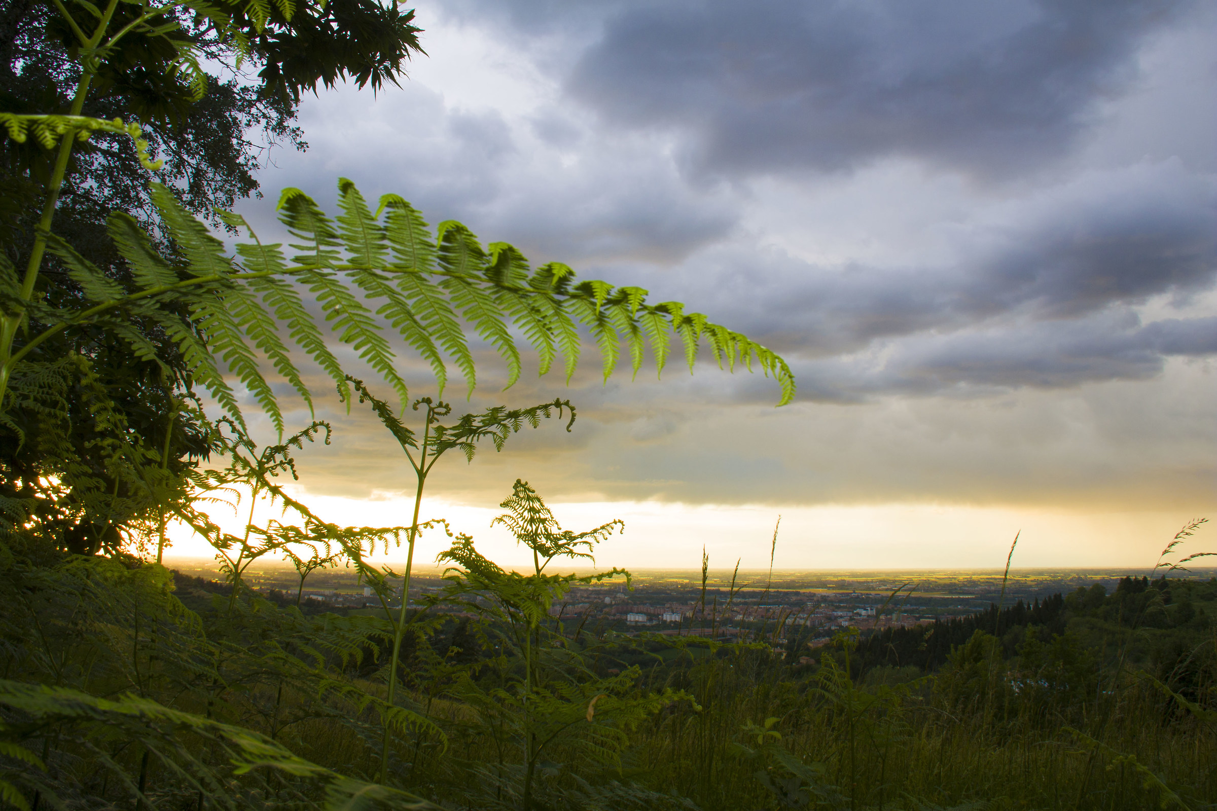 Sunset after thunderstorm