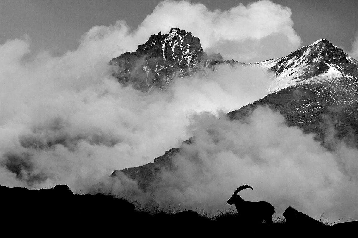 Nuvole in bianco e nero