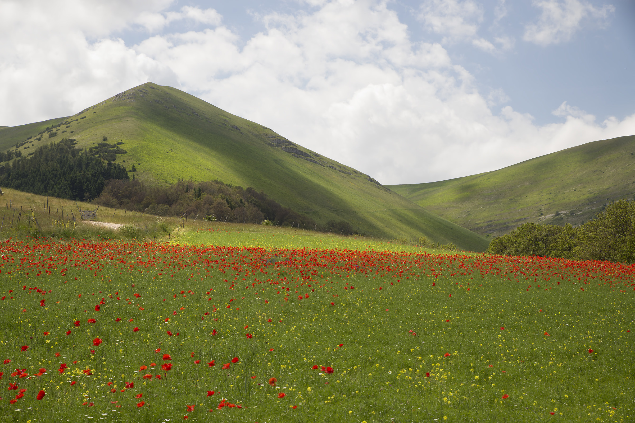 Lungo la  strada per Castelluccio