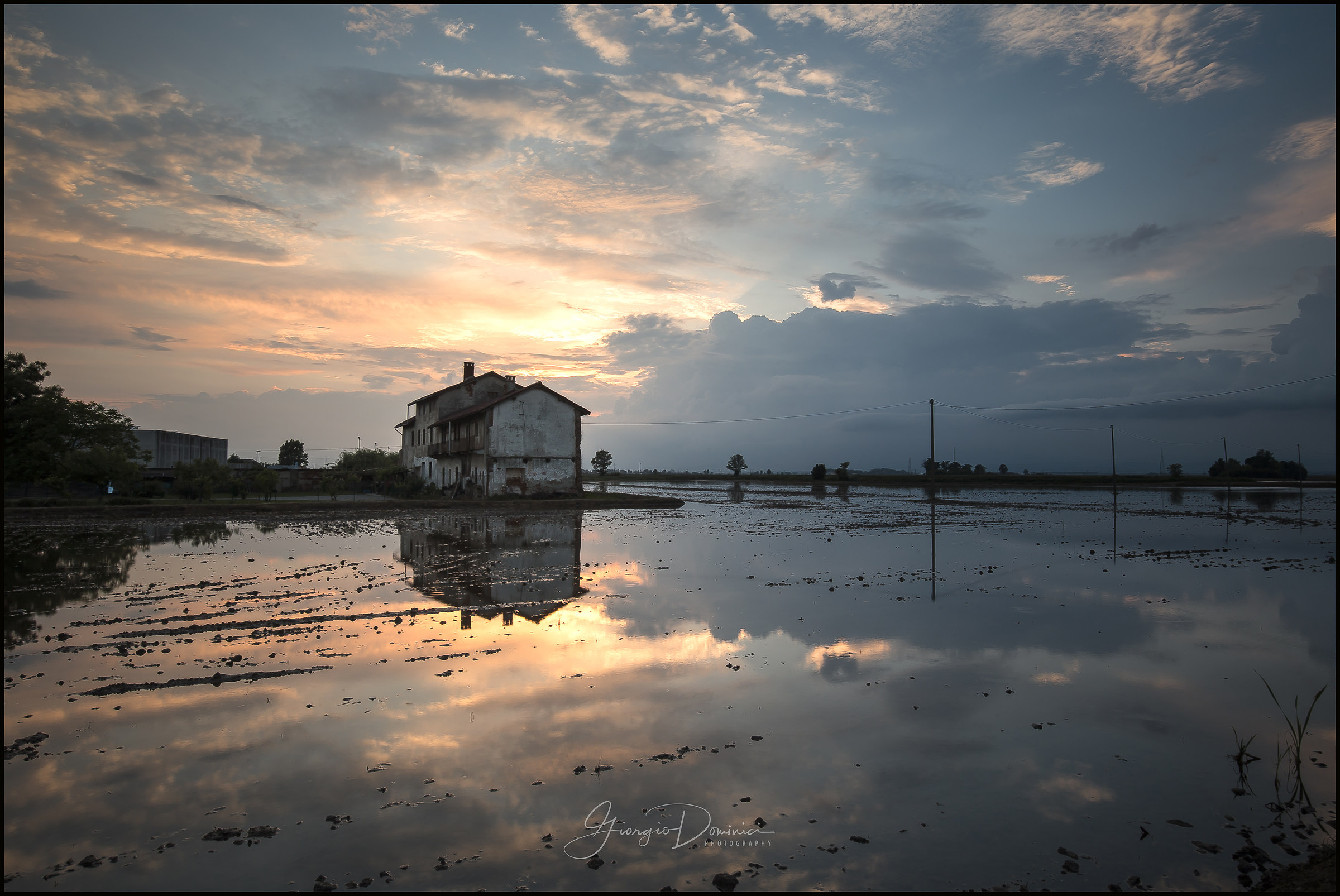 Tramonto sulla risaia