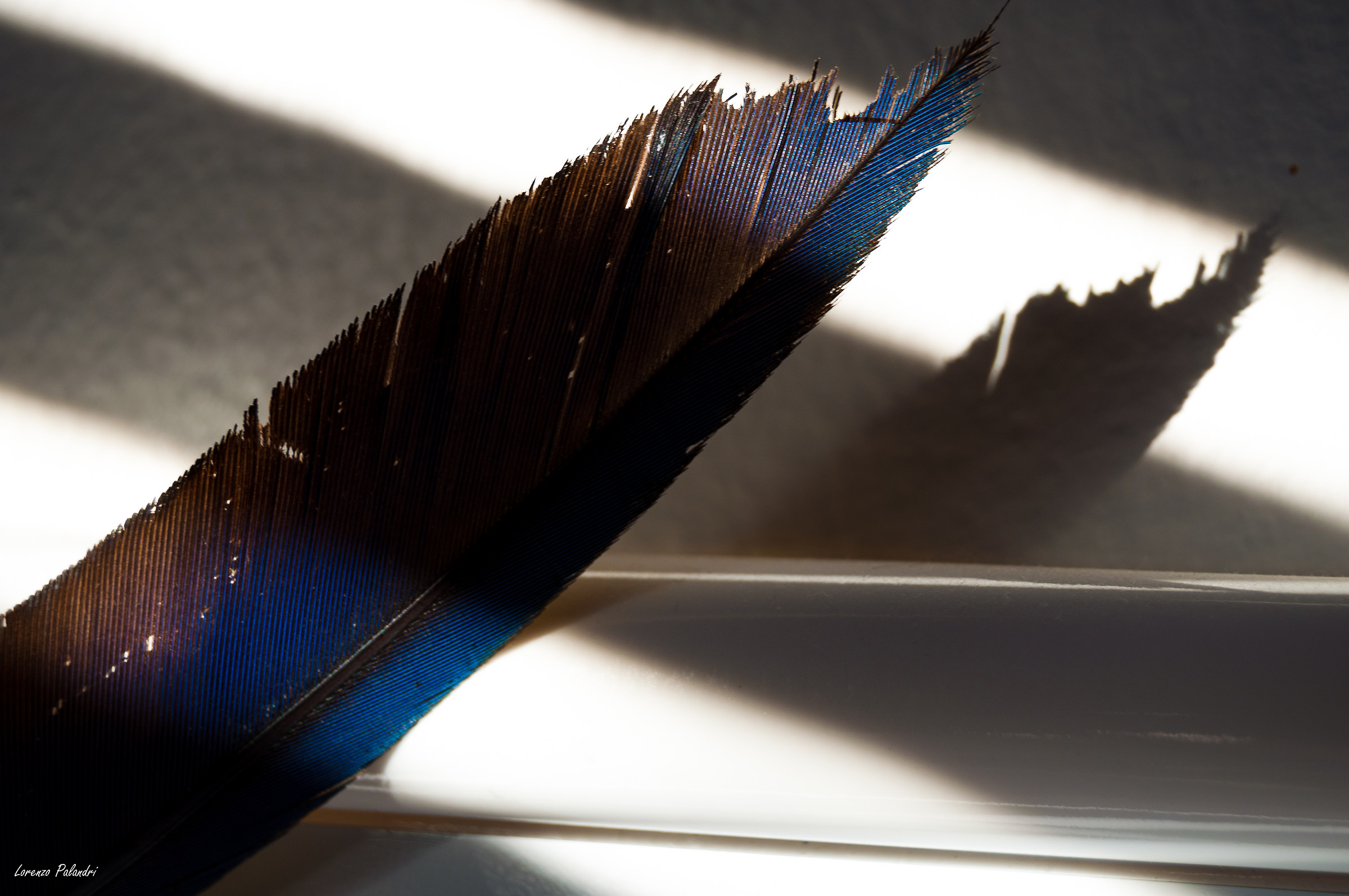 A pen to write with light