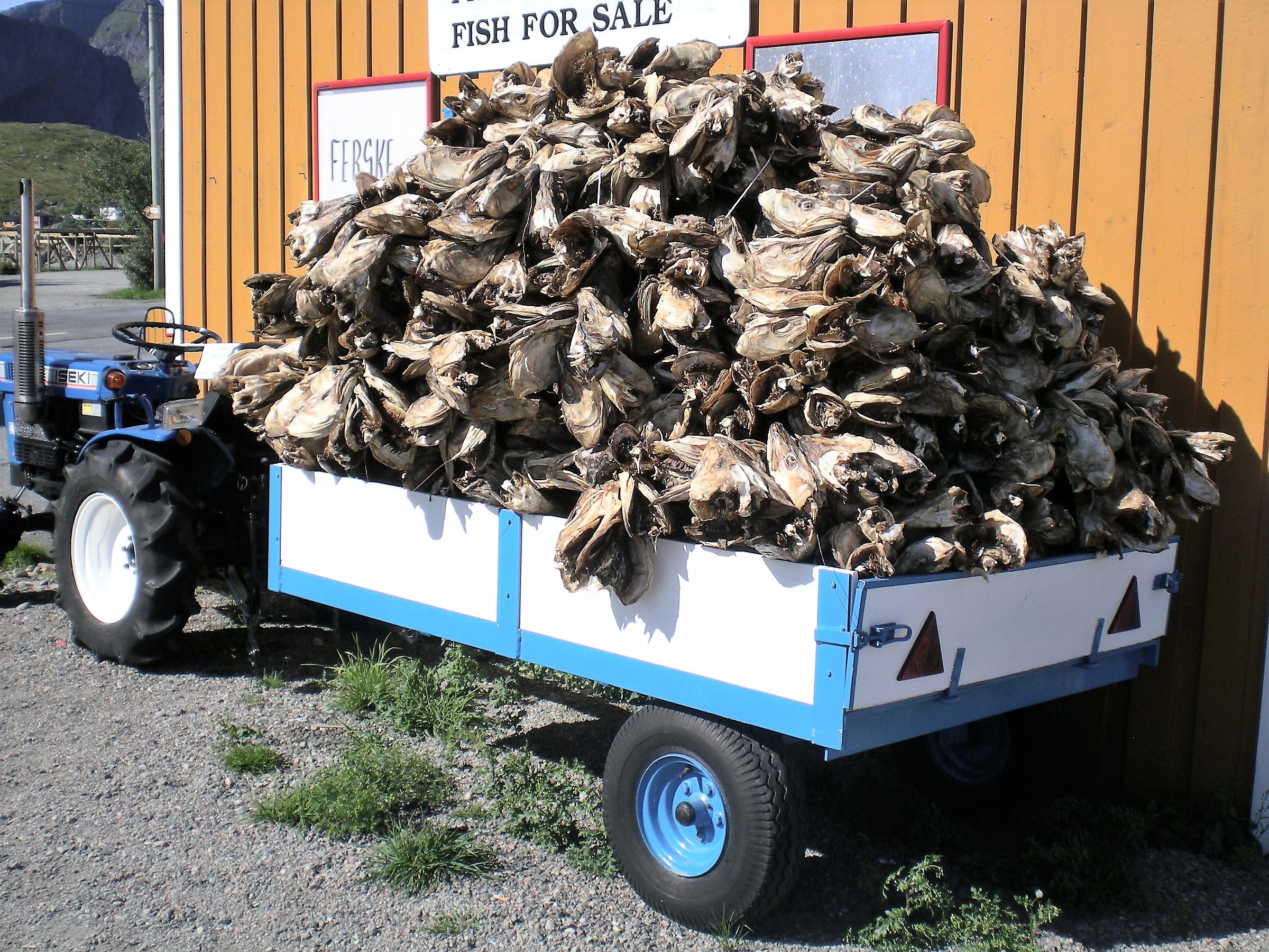 Un po di stoccafisso