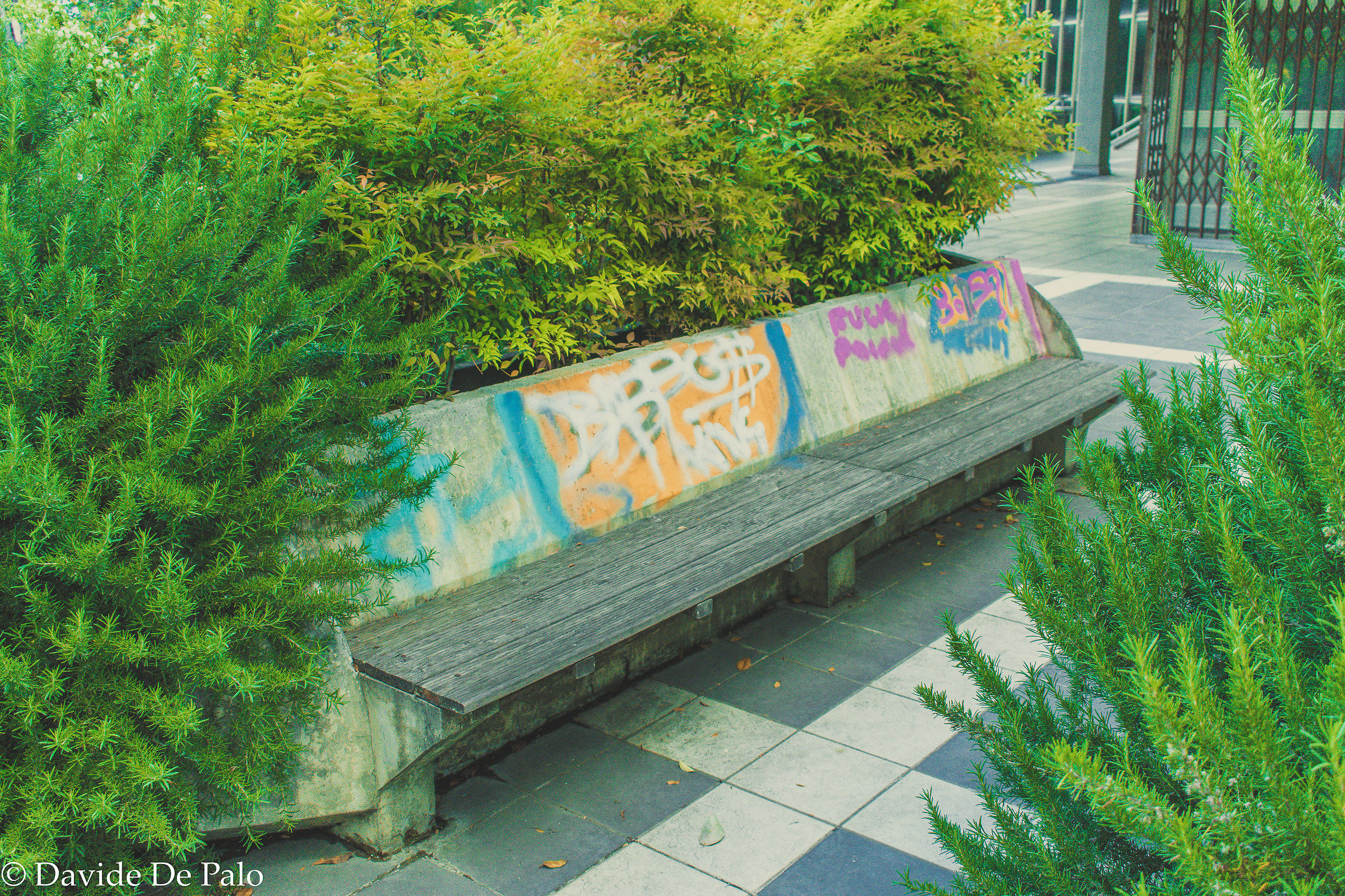 Colored Bench